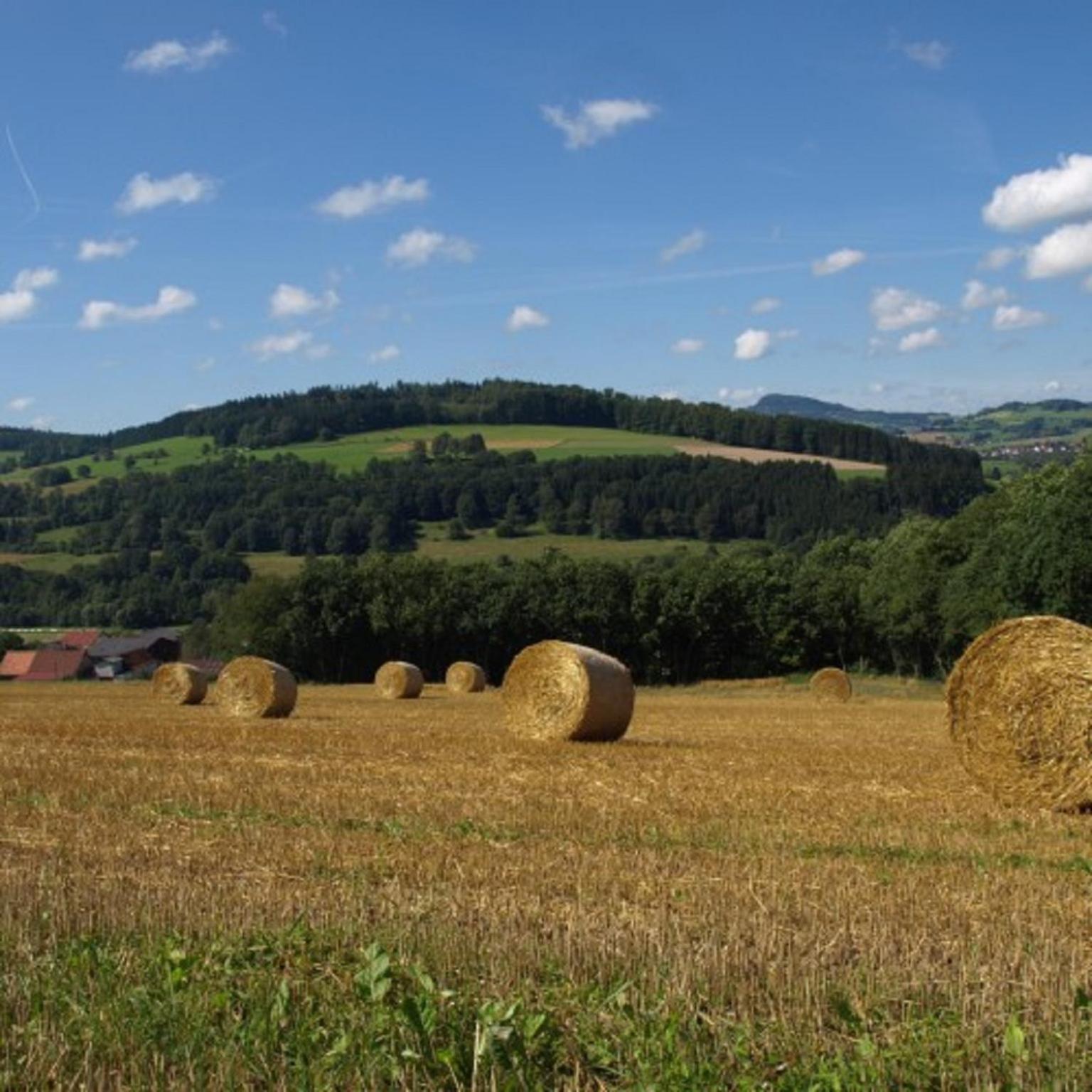 Ferienhaus Birx