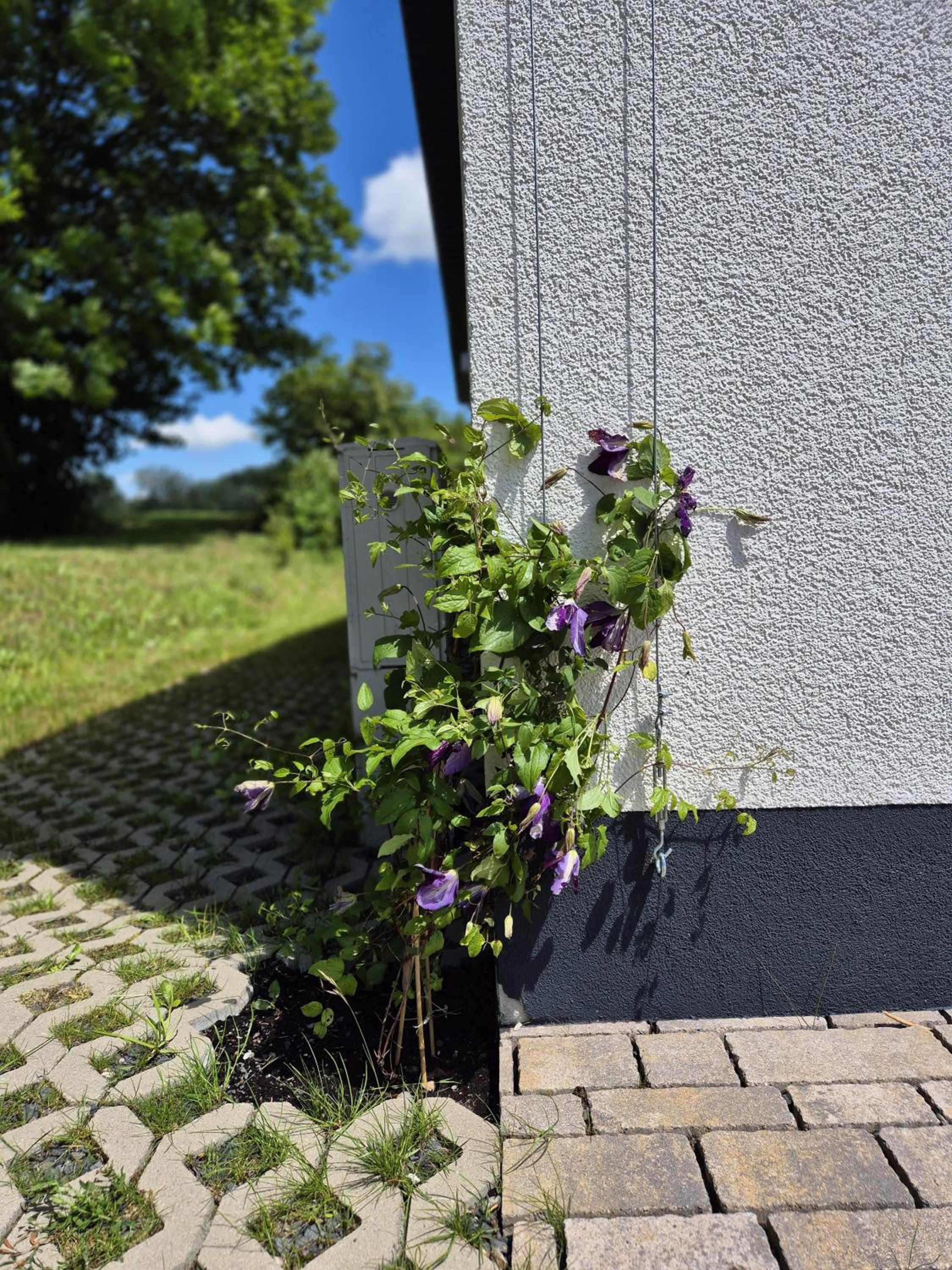Ferienhaus Birx