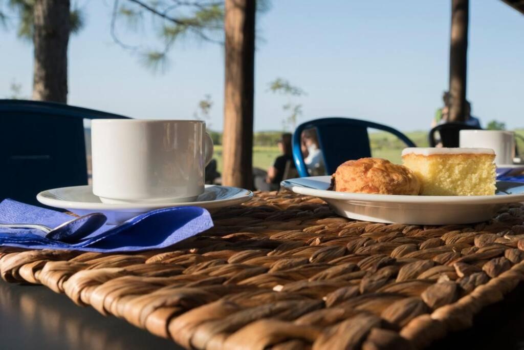 Escape to Casa Alma - Glamping Violeta by deppto - Image 4