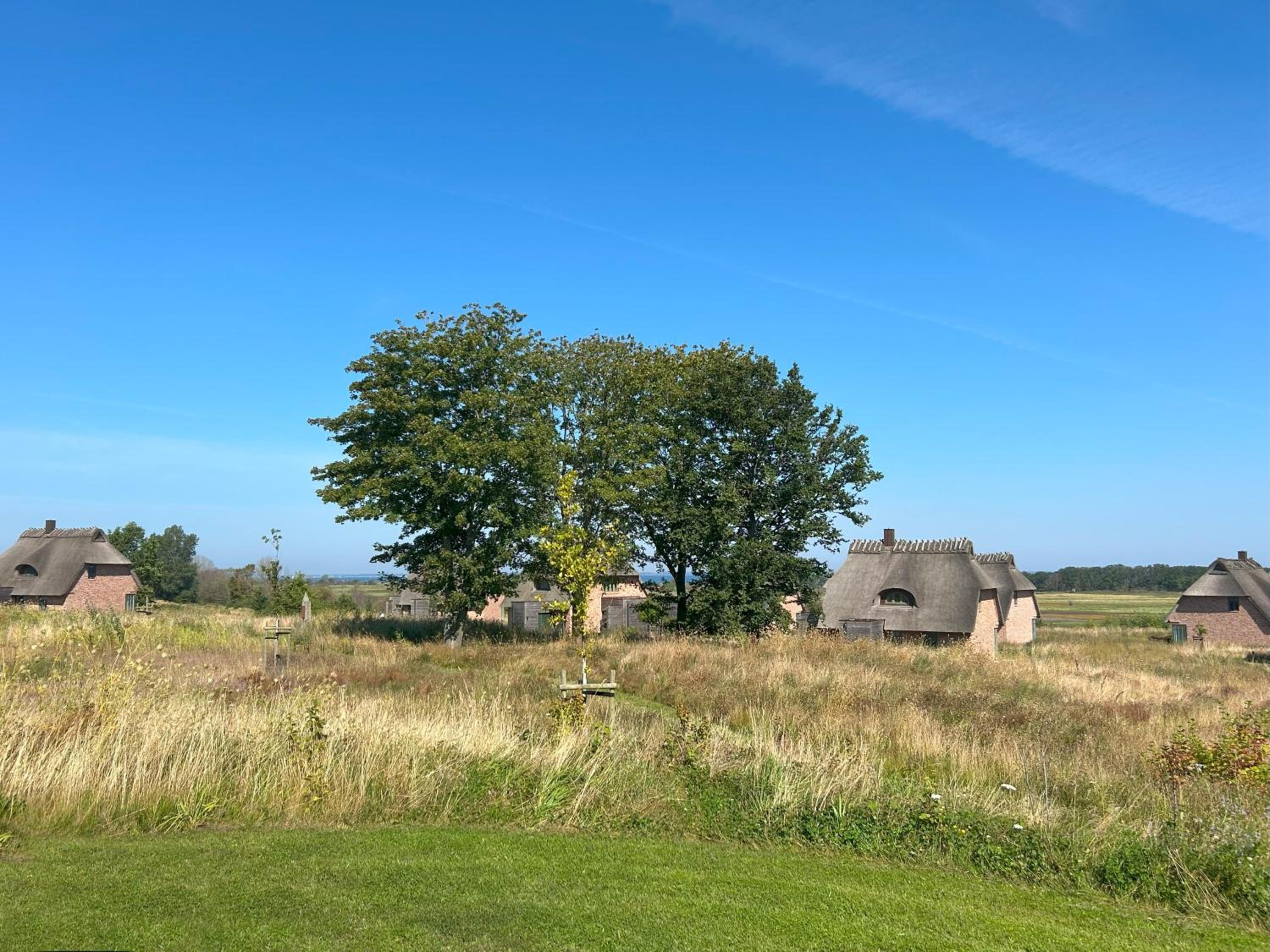 Reetdorf Geltinger Birk Malerhaus Eichenwald
