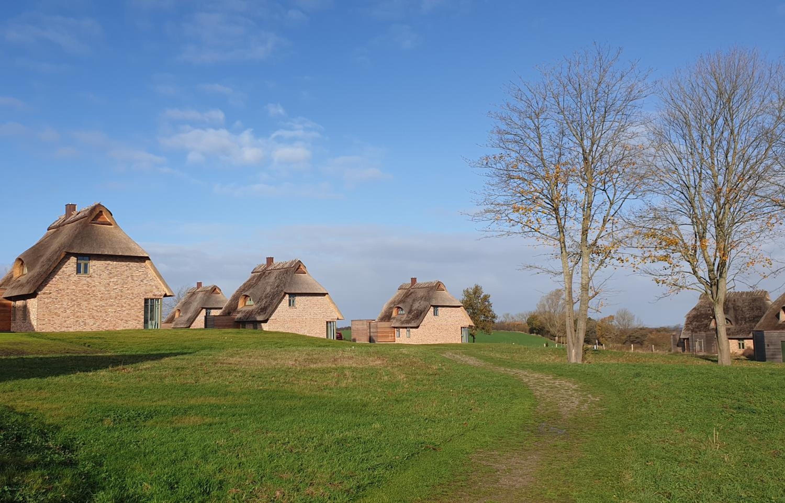 Reetdorf Geltinger Birk Malerhaus Eichenwald
