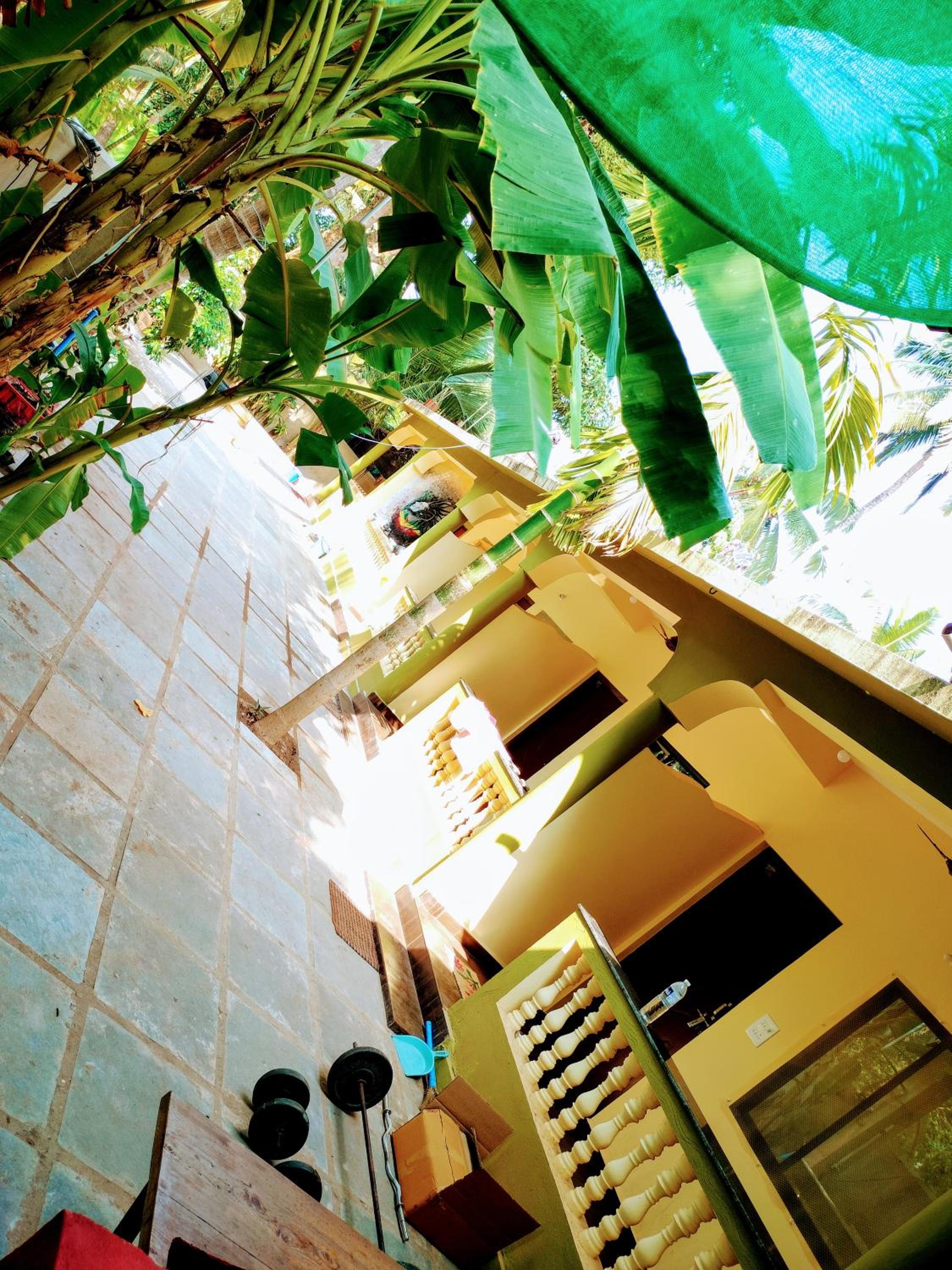 One love guest house view 5