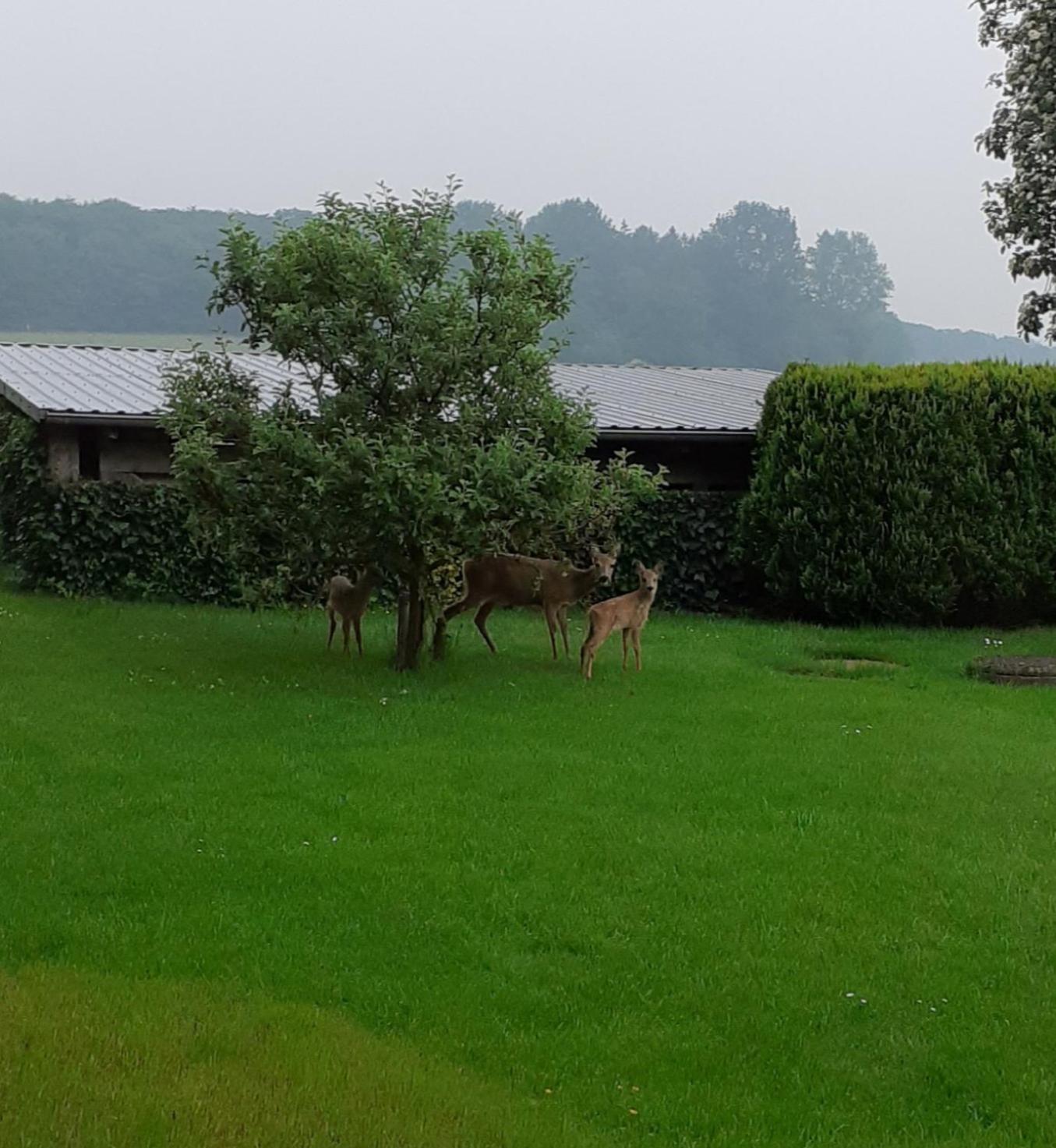 Ferienwohnung I Raup