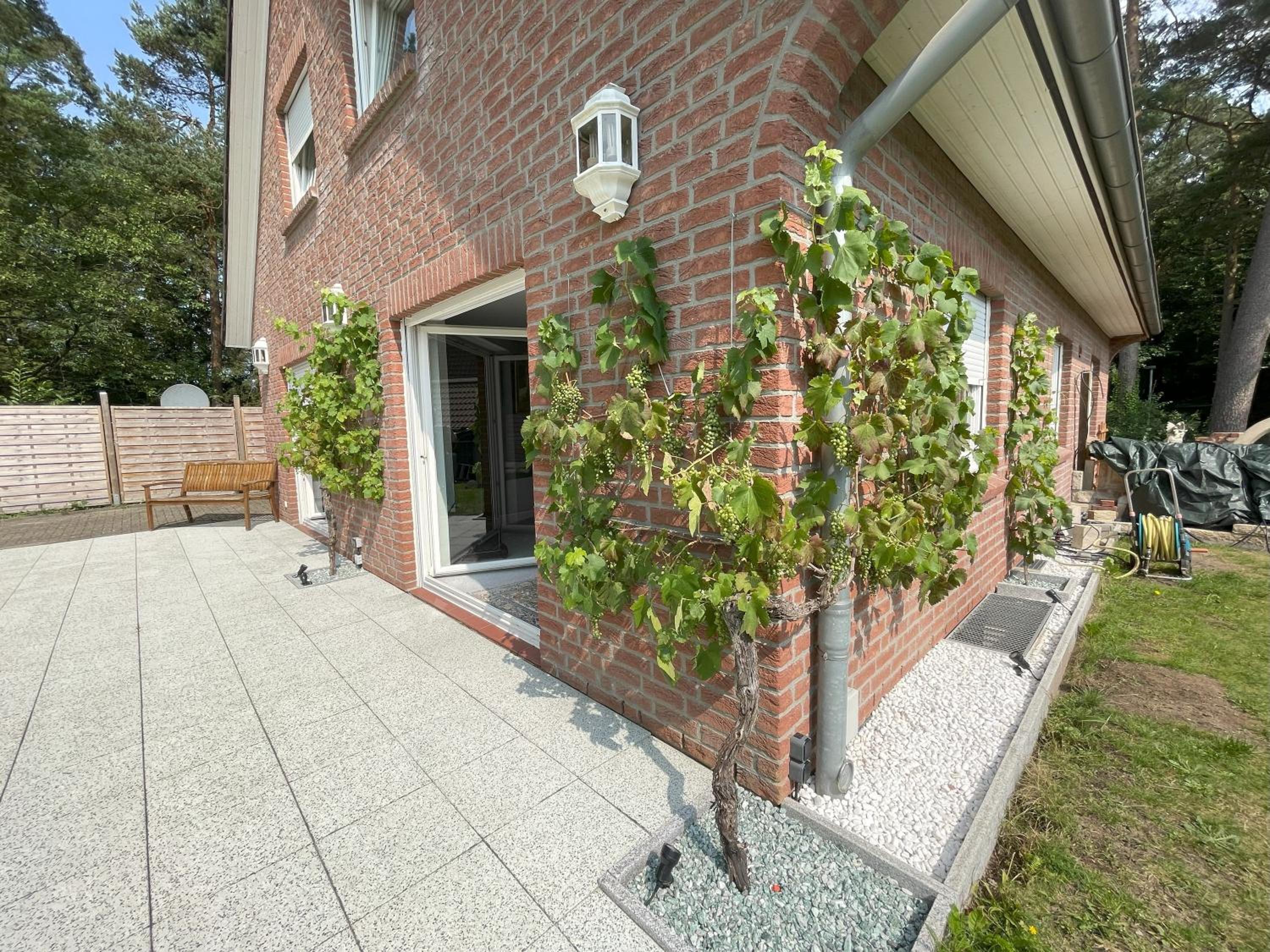 Wald Ferienwohnung Hamburg 2