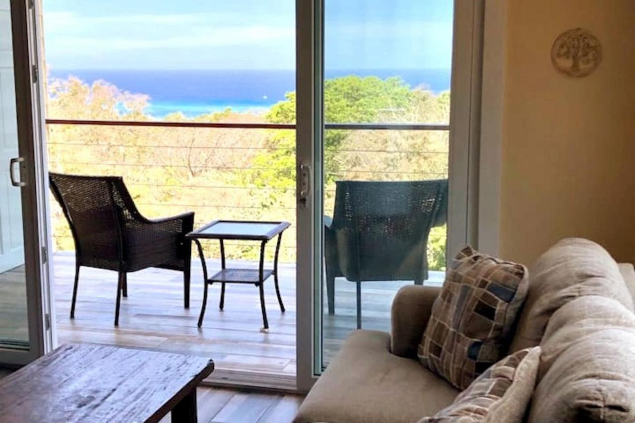 Palm Luxury King Suite, Pool, ocean views, beach short walk West Bay West End view 2