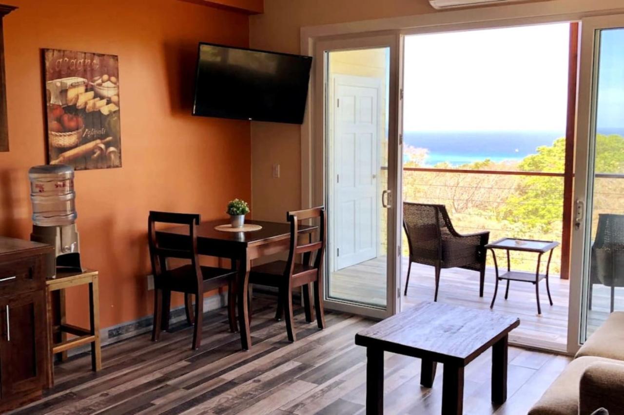 Palm Luxury King Suite, Pool, ocean views, beach short walk West Bay West End view 3
