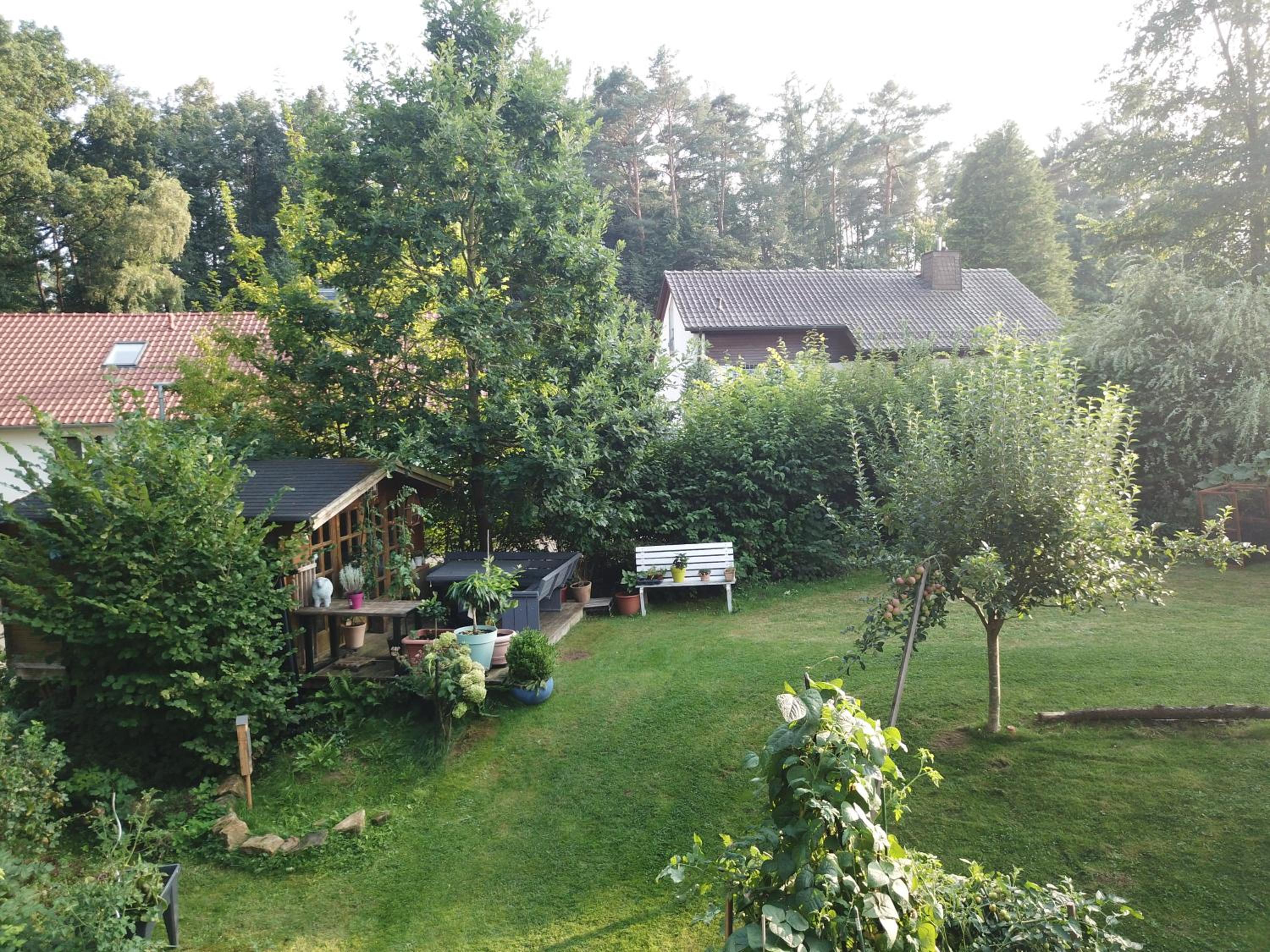 Ruhige Ferienwohnung „Südhang“ direkt am Wald