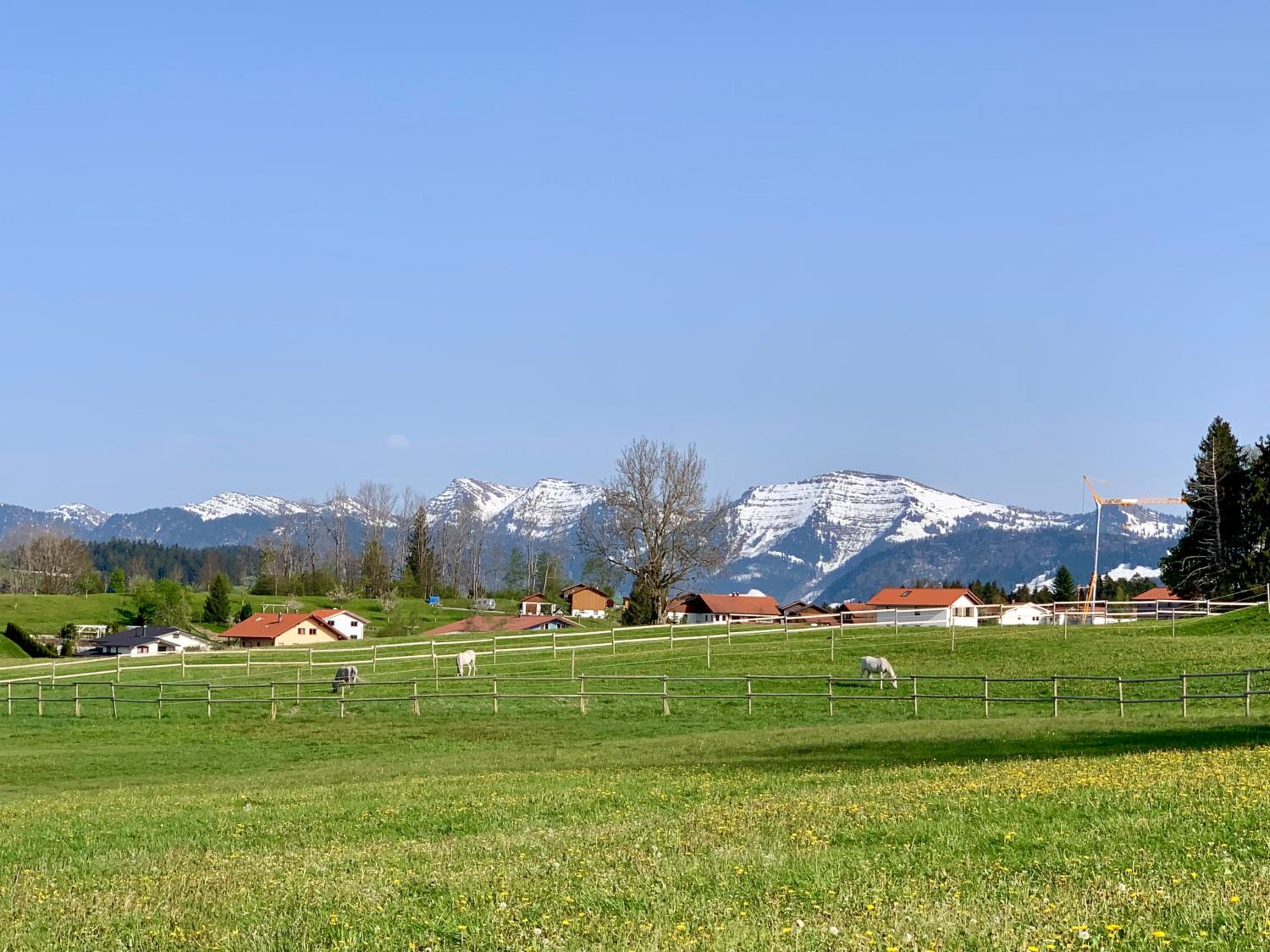 Lindners Hideaways - Bergnest Lodge - Bergblick Fewo 6 Pers Balkon Garten Hund Ski Unterkunft Luftkurort Oberreute nähe Buchenegger Wasserfälle Eistobel Bo