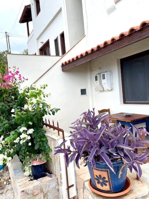 Mandora's Cozy Sea View Apartment view 5