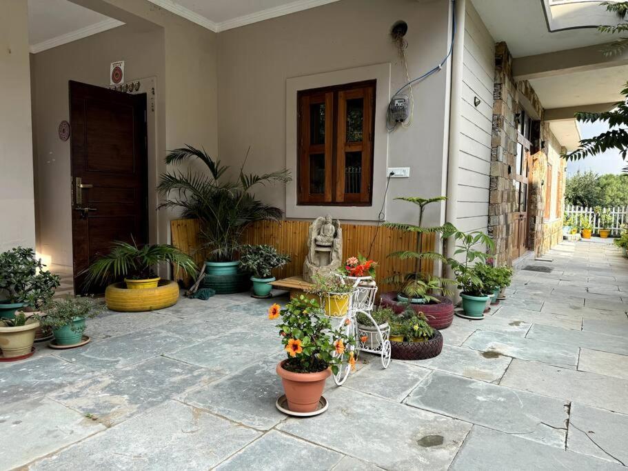 Photo 23