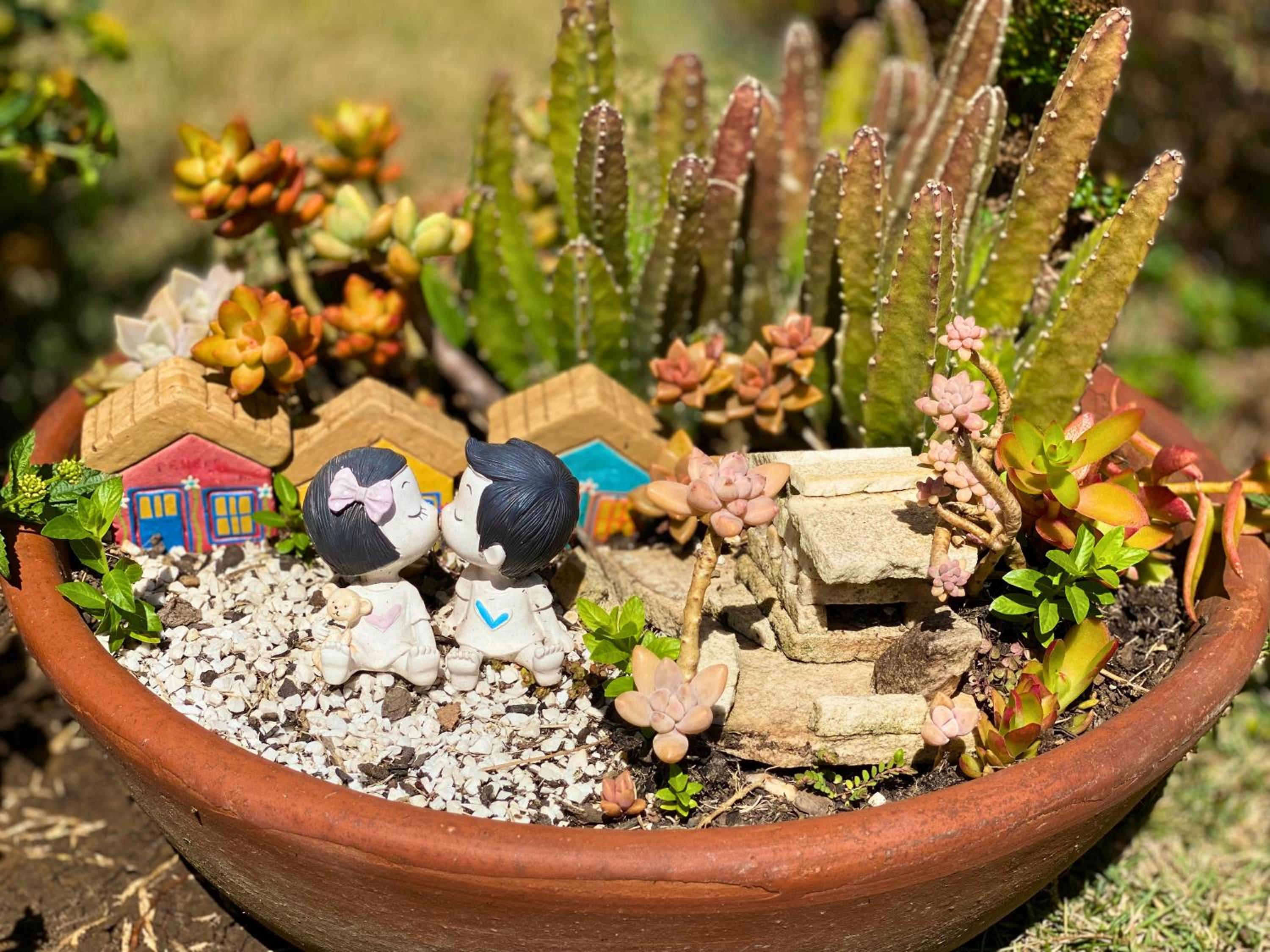 Casa com vista para a serra