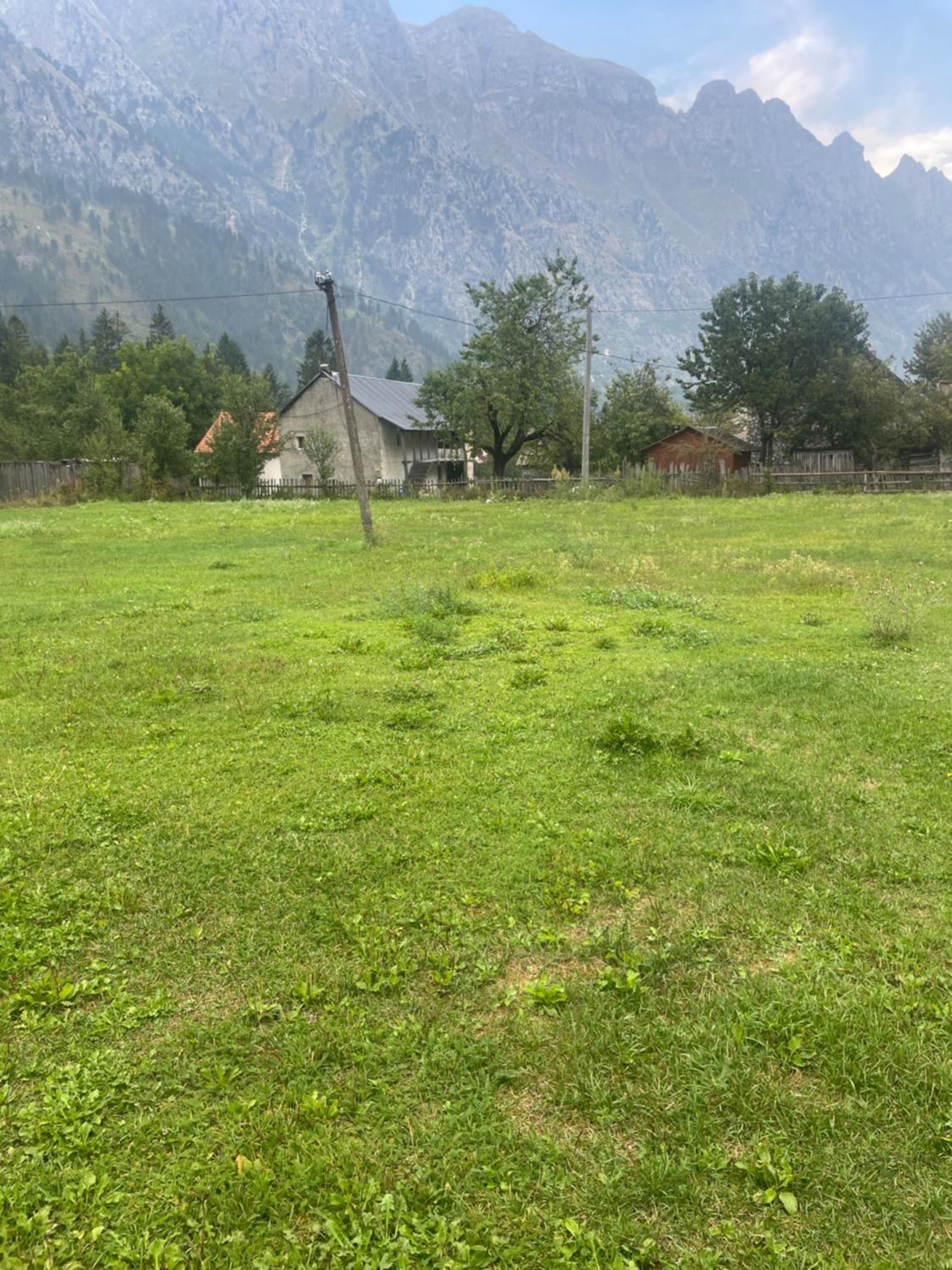 Guest hause 1 photo 3