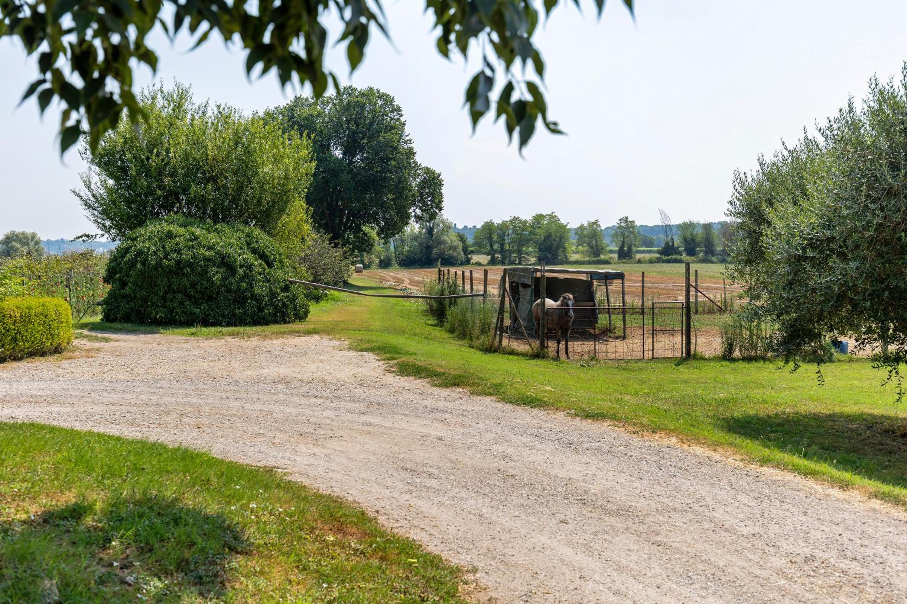 New Agriturismo Corte Olfino view 4