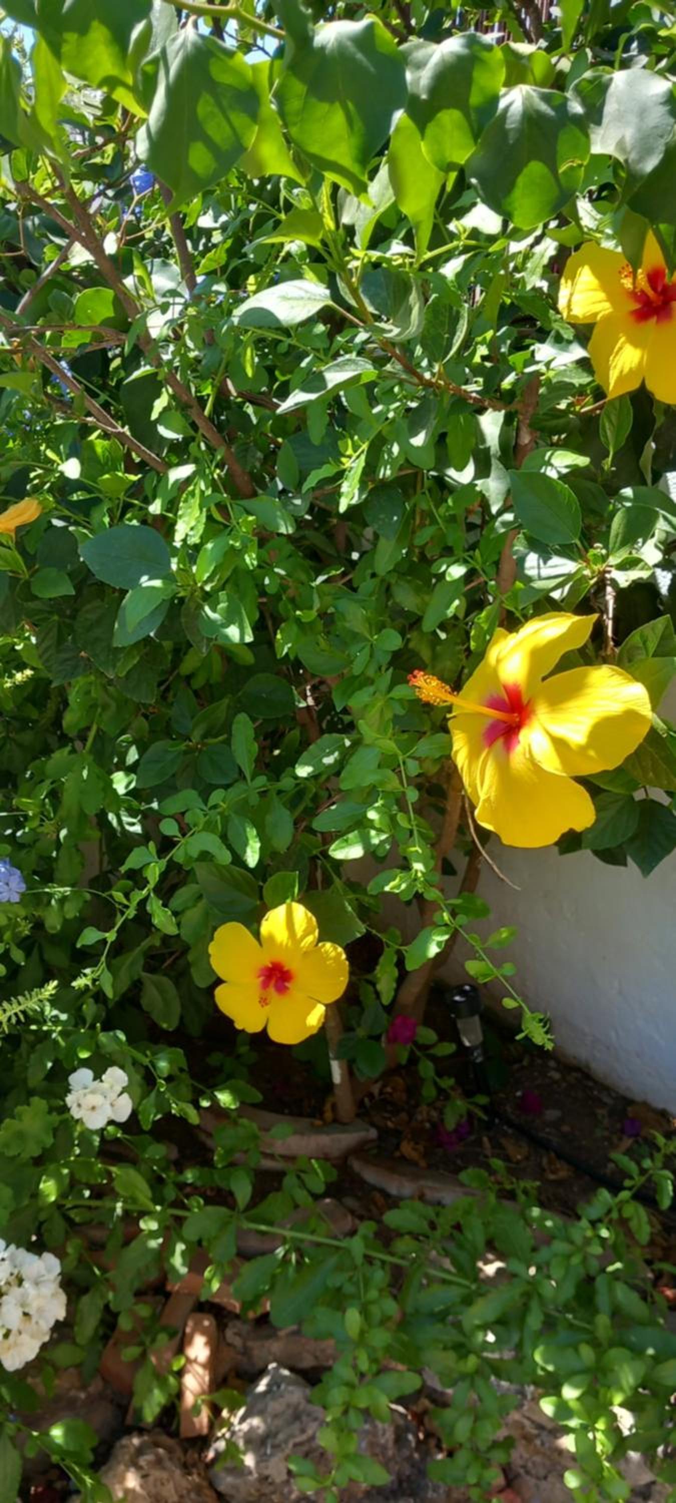 LA POSADA DE LA MUELA - Property Image 29