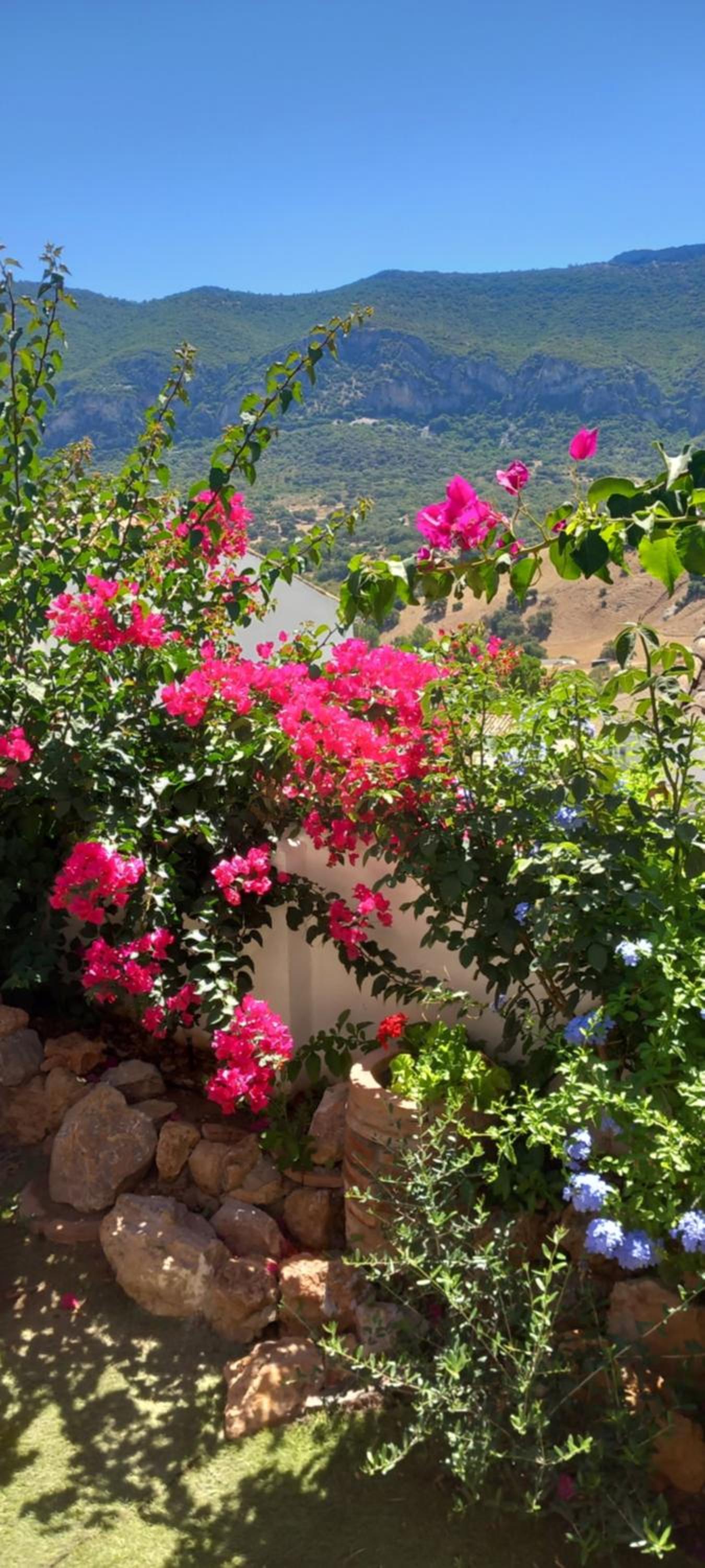 LA POSADA DE LA MUELA - Property Image 28