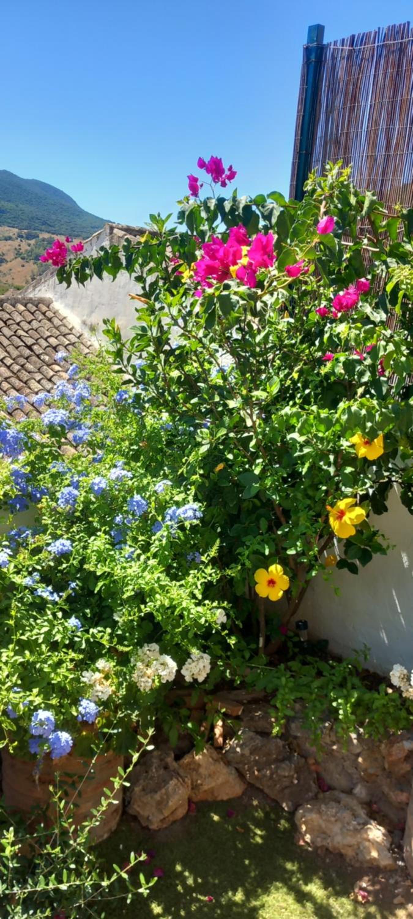 LA POSADA DE LA MUELA - Property Image 30