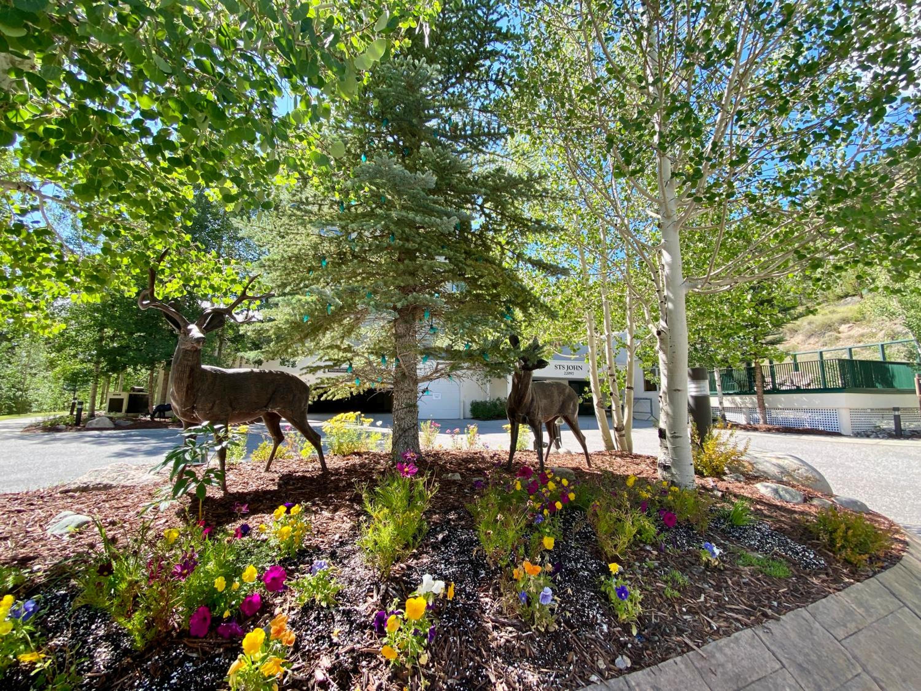Gateway Lodge 5002 by SummitCove Lodging