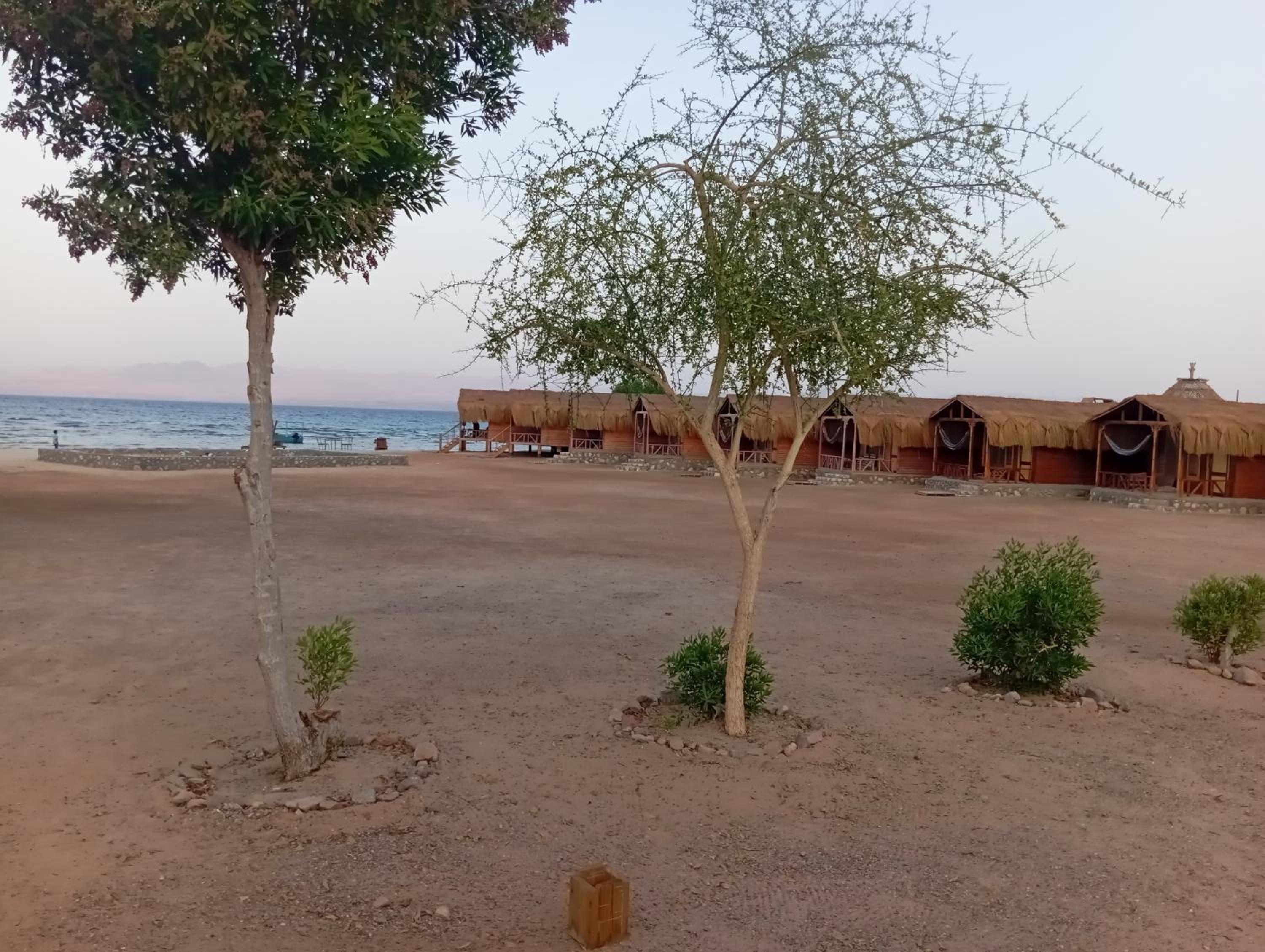 Sayal camp new