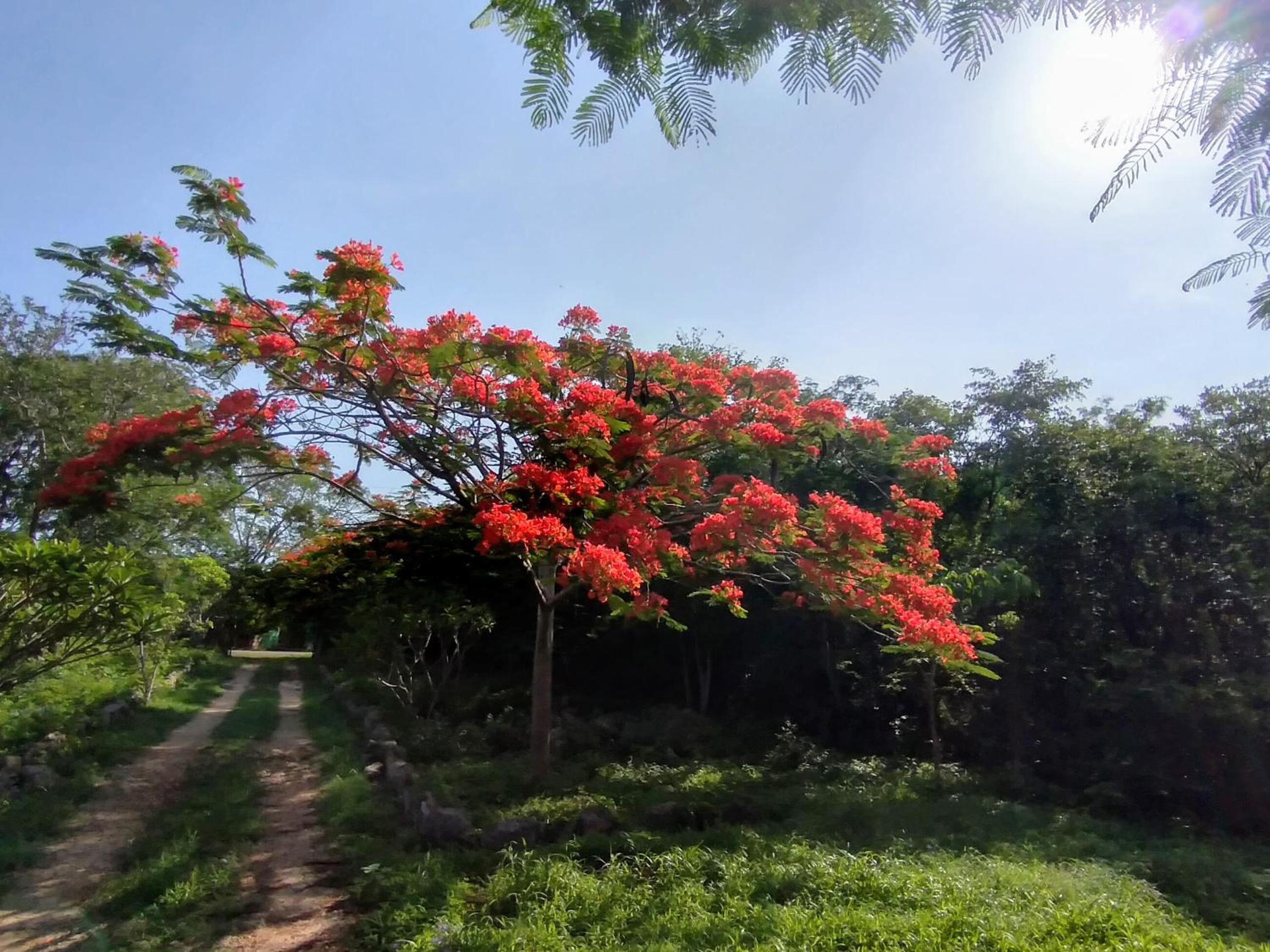 Eco Hacienda ICH-KI