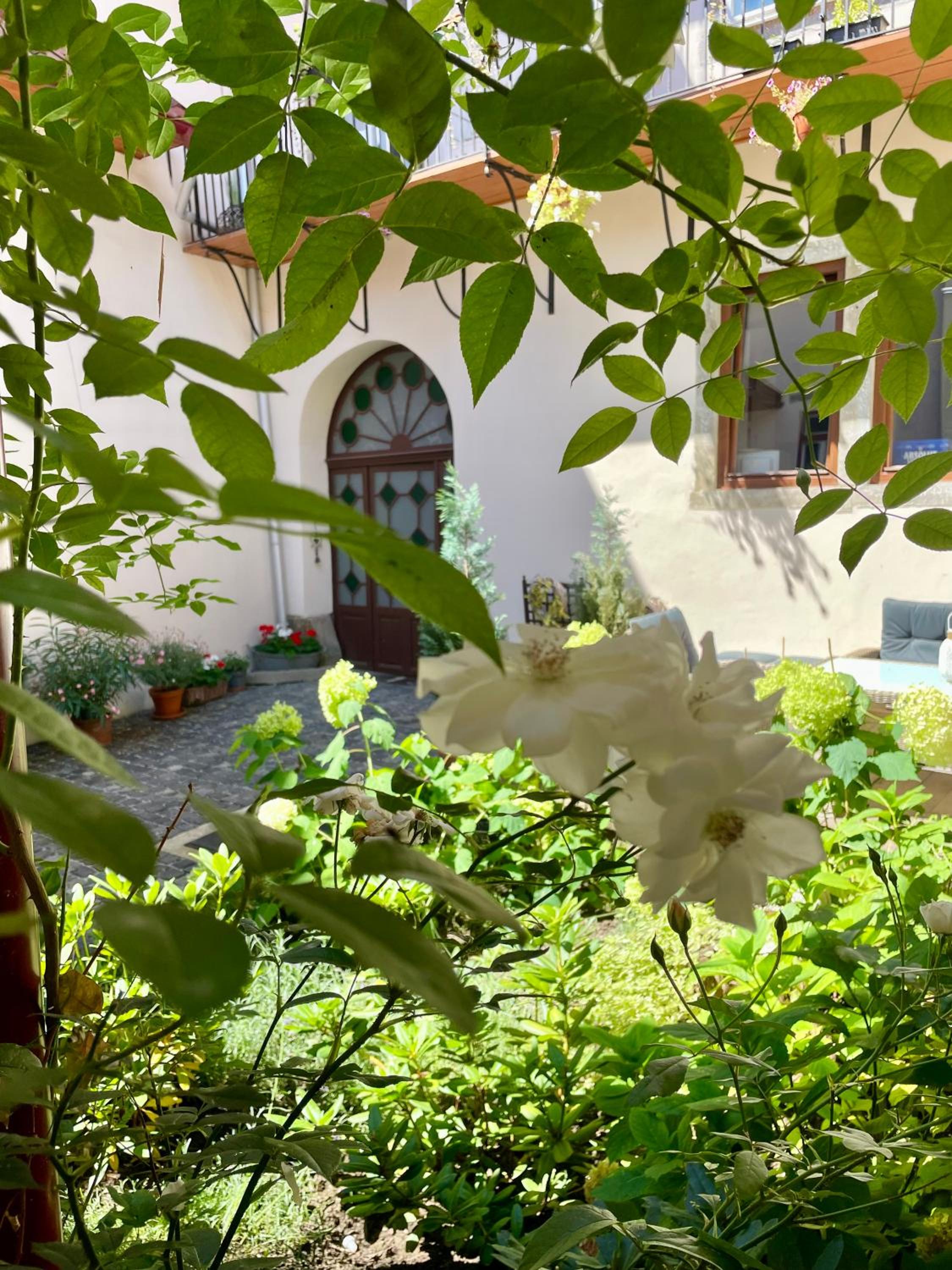 historical Zaffir house - market square