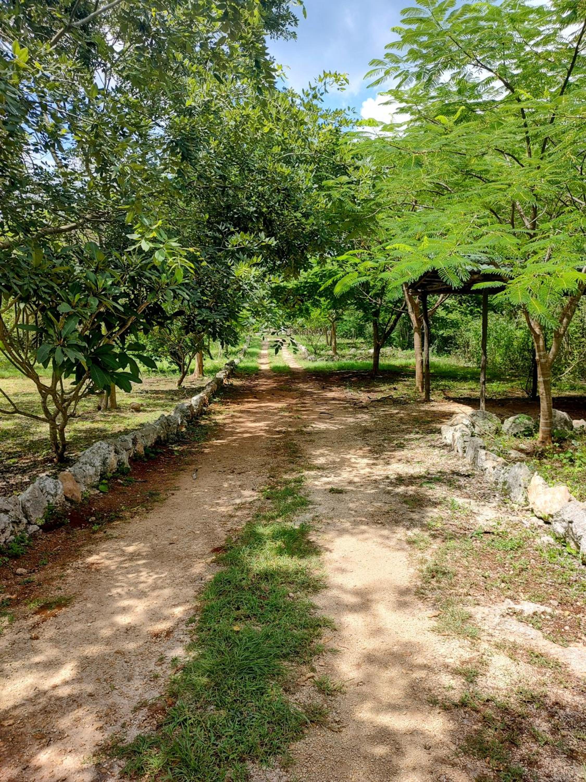 Eco Hacienda ICH-KI