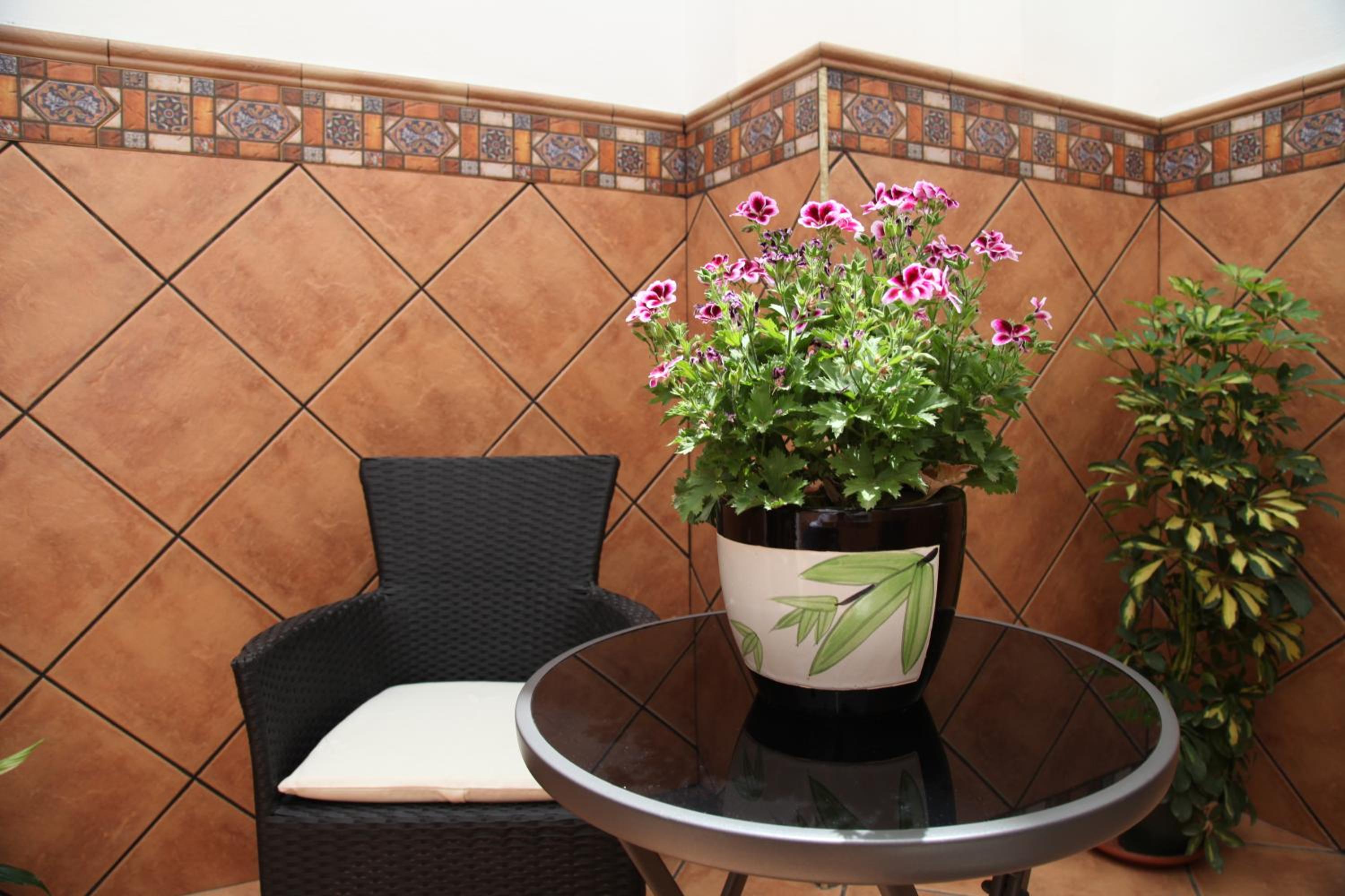 Hostal Avenida