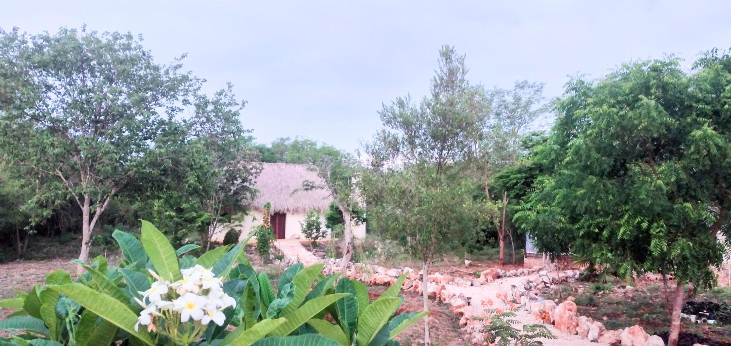 Eco Hacienda ICH-KI