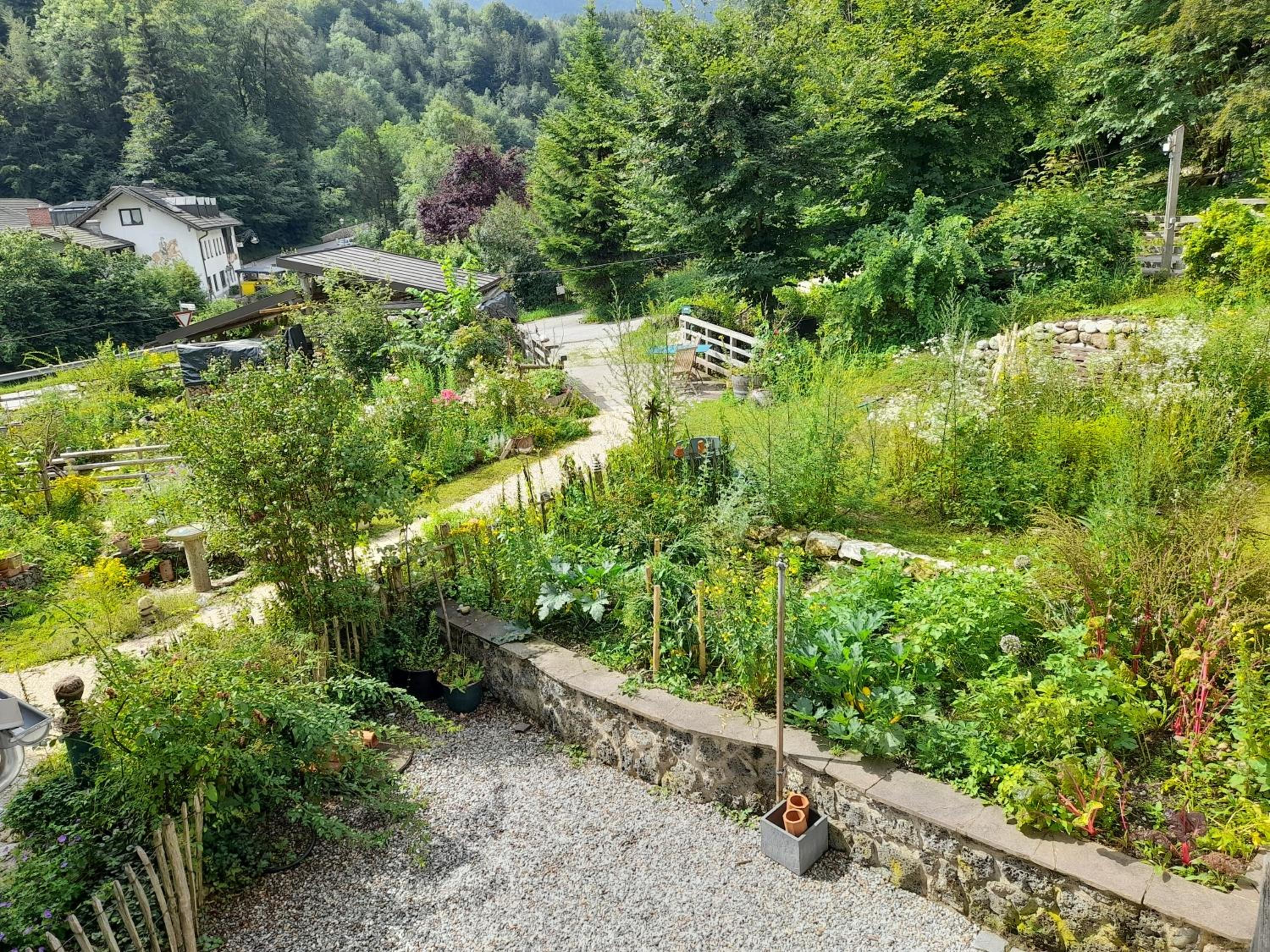 Im Naturgarten