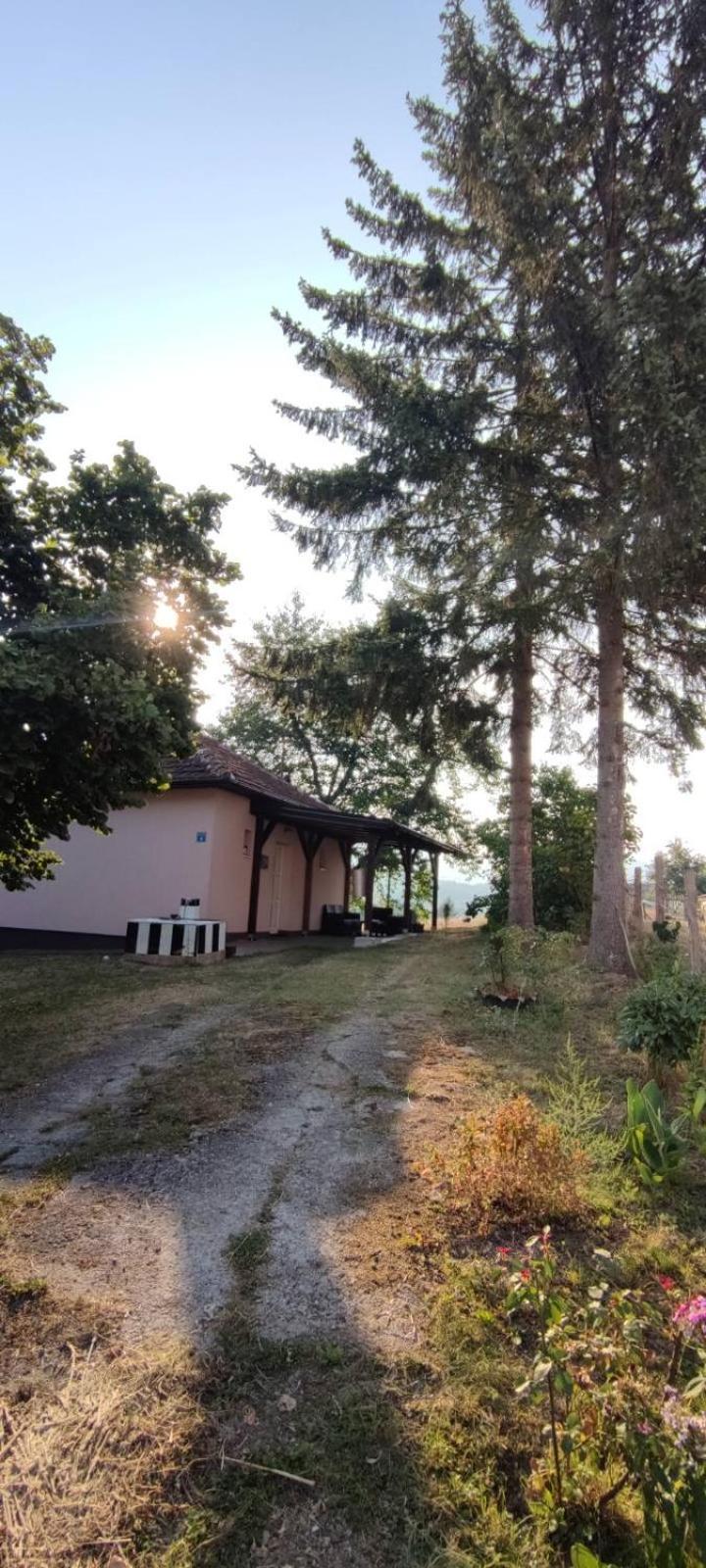 Holiday house Lola