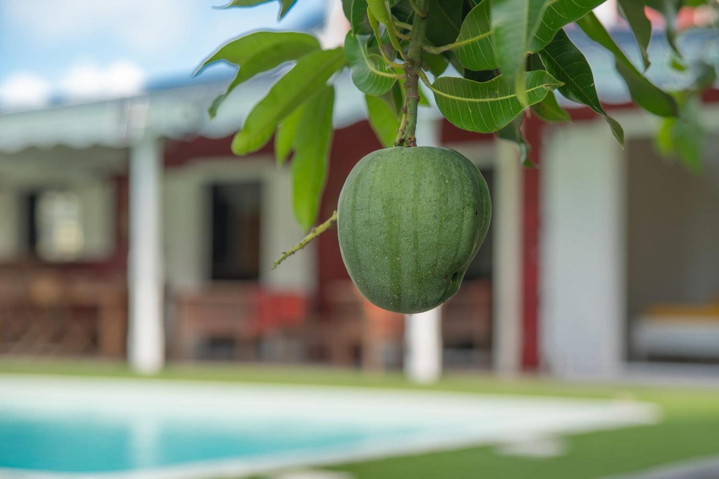 Villa Hibiscus