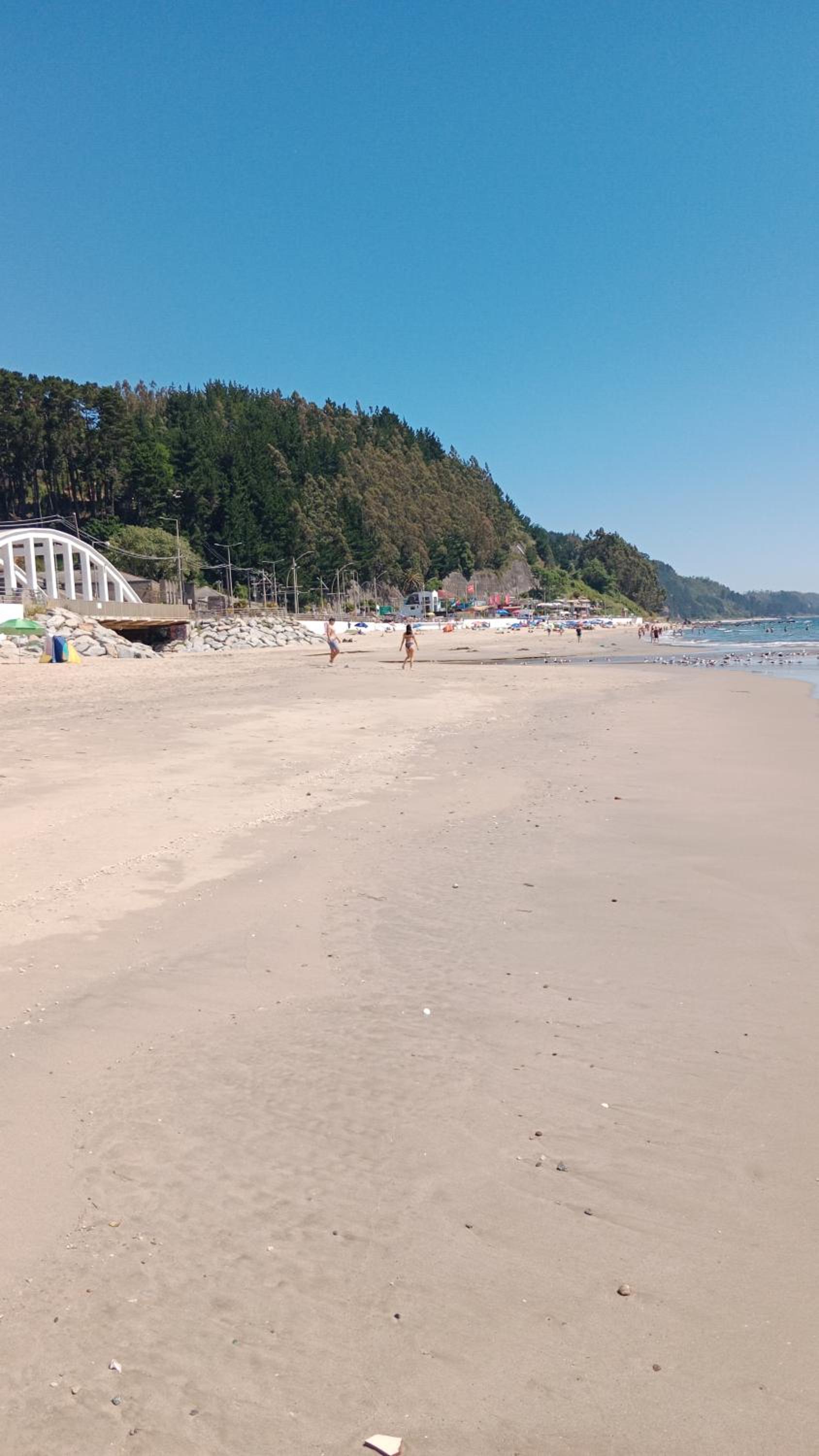departamentoplaya