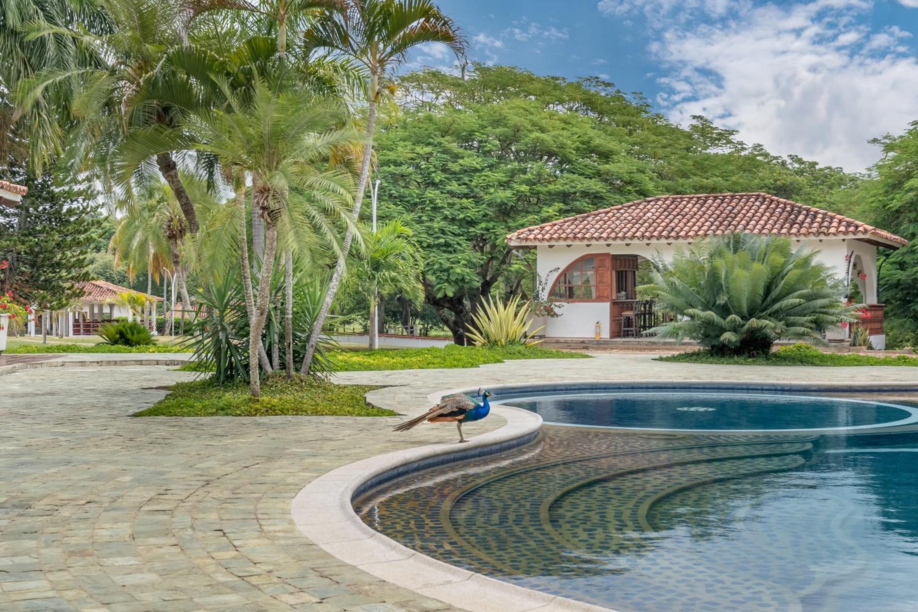 Finca La Carolina