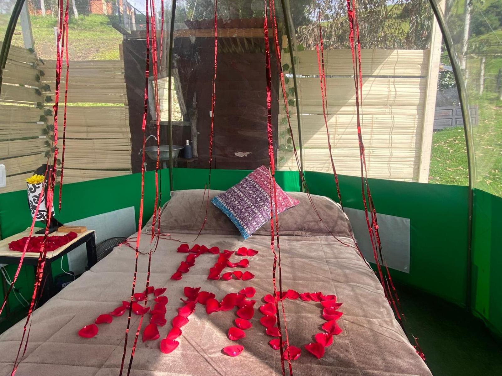 Glamping Luna de Amor