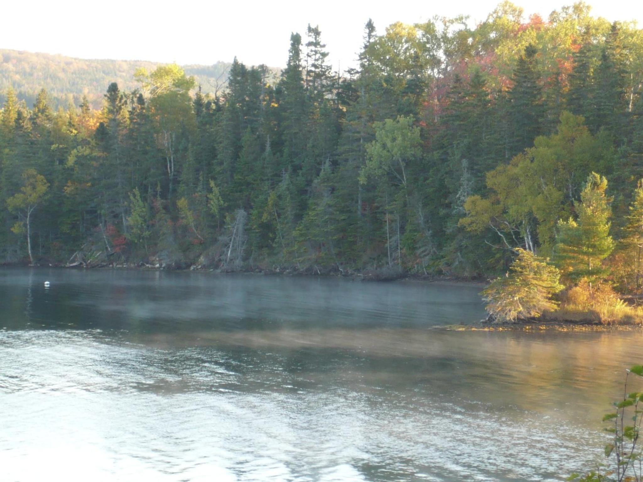 Lakeside 1