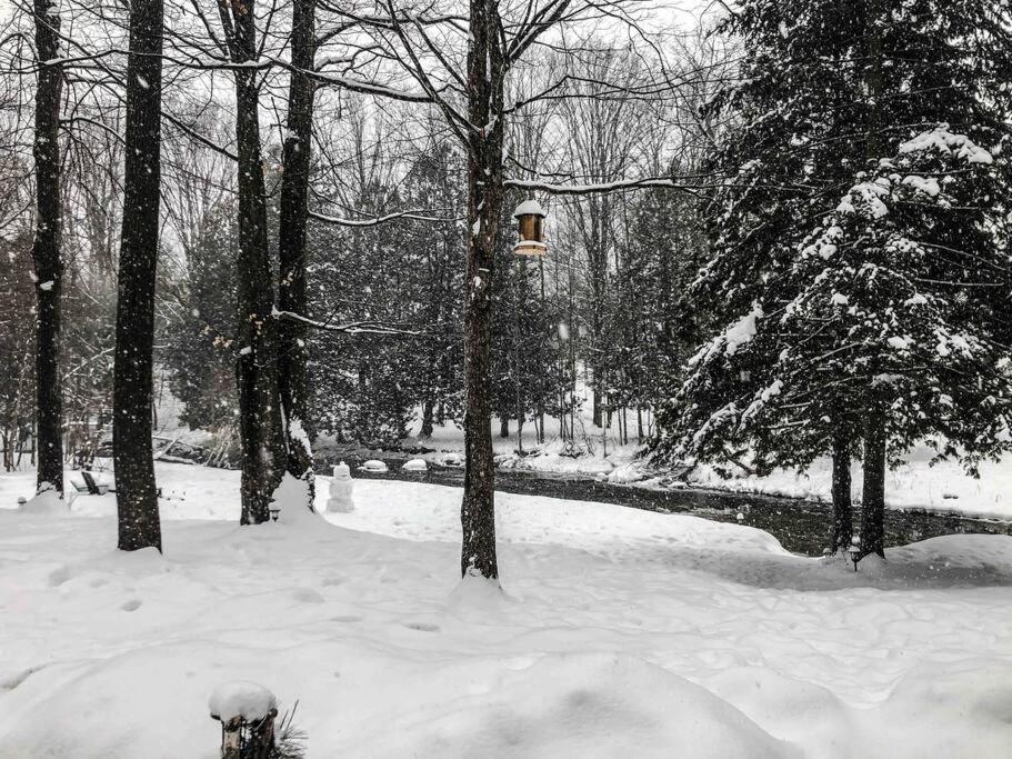 Cottage on the Noisy River Blue Mountain Wasaga