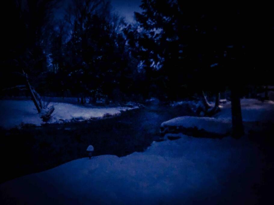 Cottage on the Noisy River Blue Mountain Wasaga