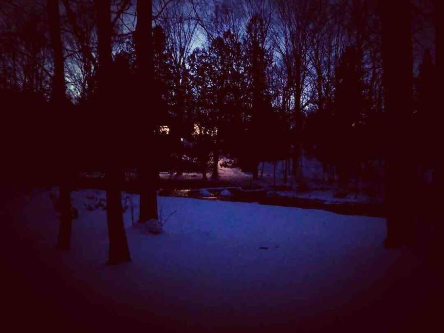 Cottage on the Noisy River Blue Mountain Wasaga