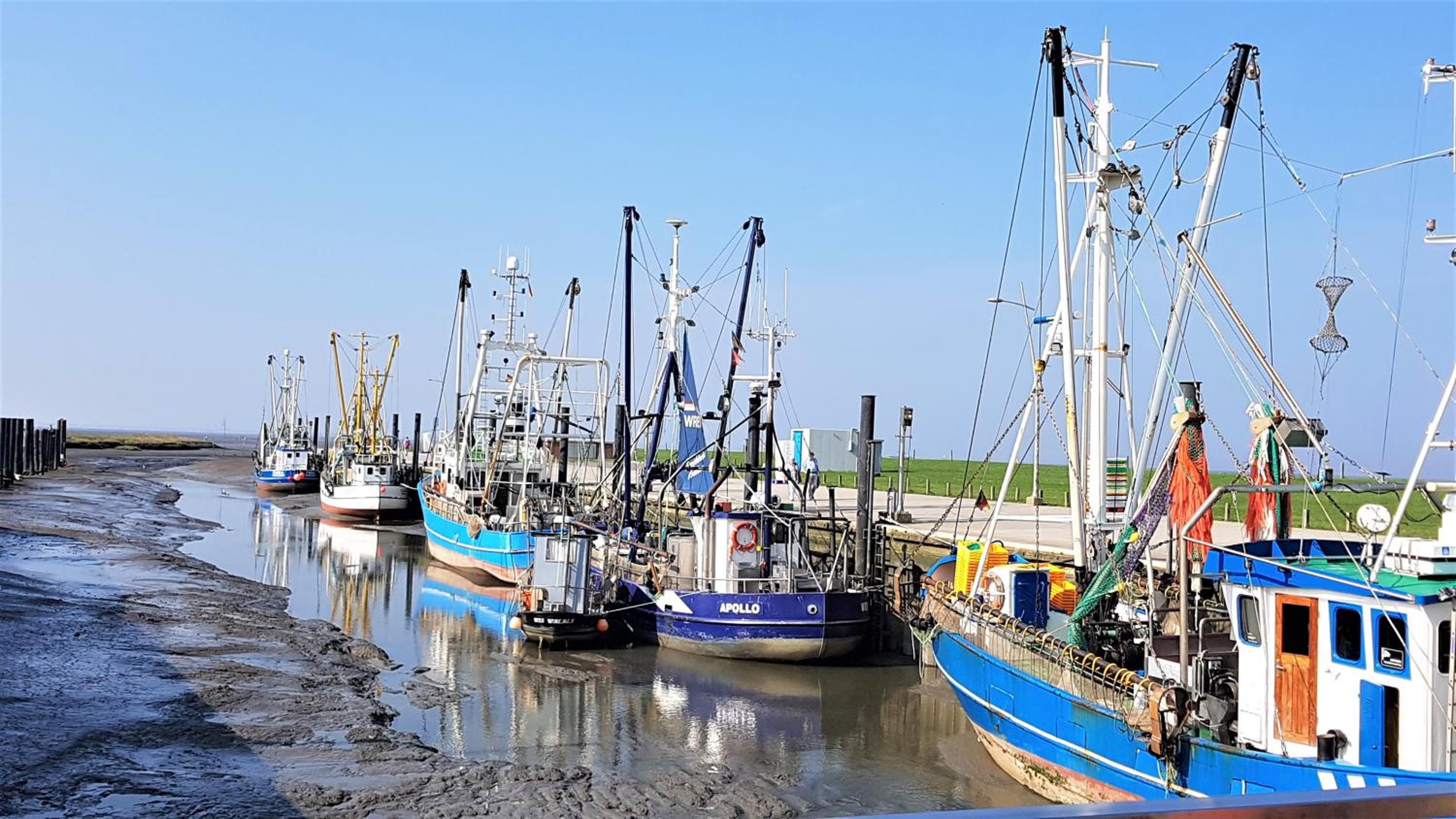 Ferienhaus Juna am Nordseedeich