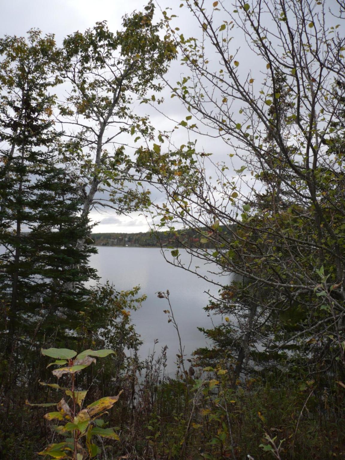 Lakeside 1