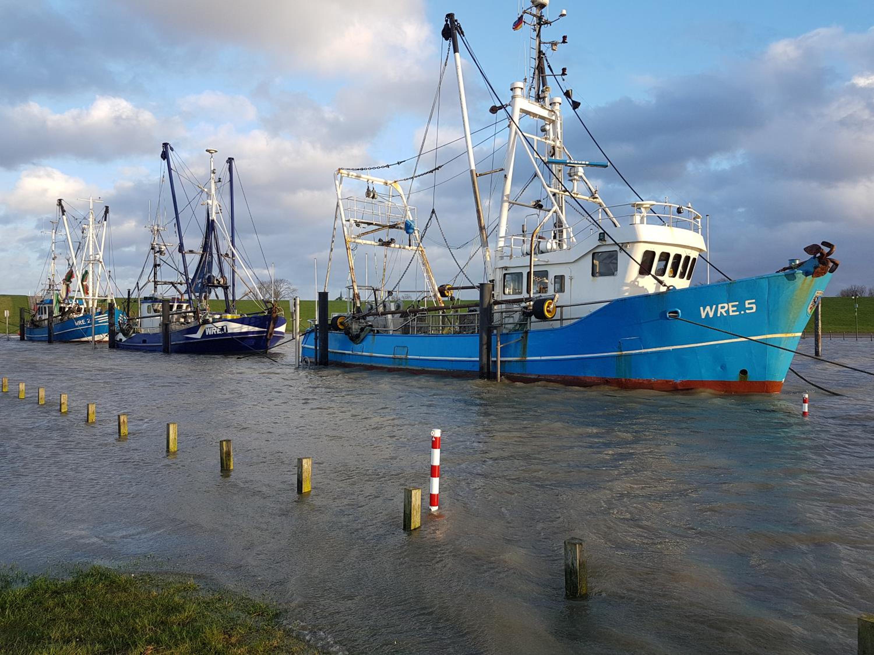 Ferienhaus Juna am Nordseedeich