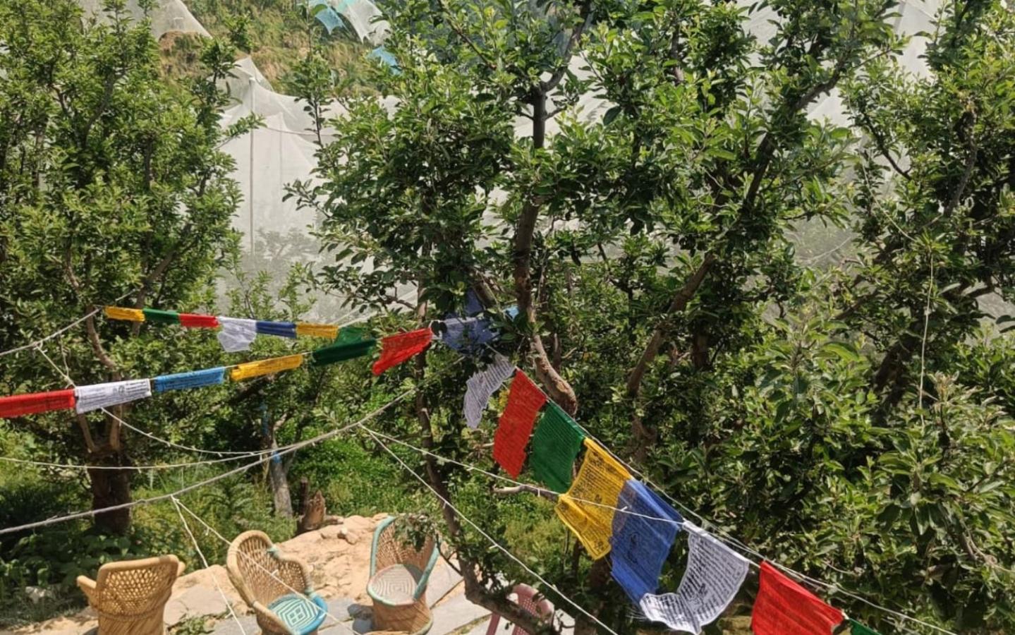 Himalayan Yew Camps and Homestay by StayApart view 2