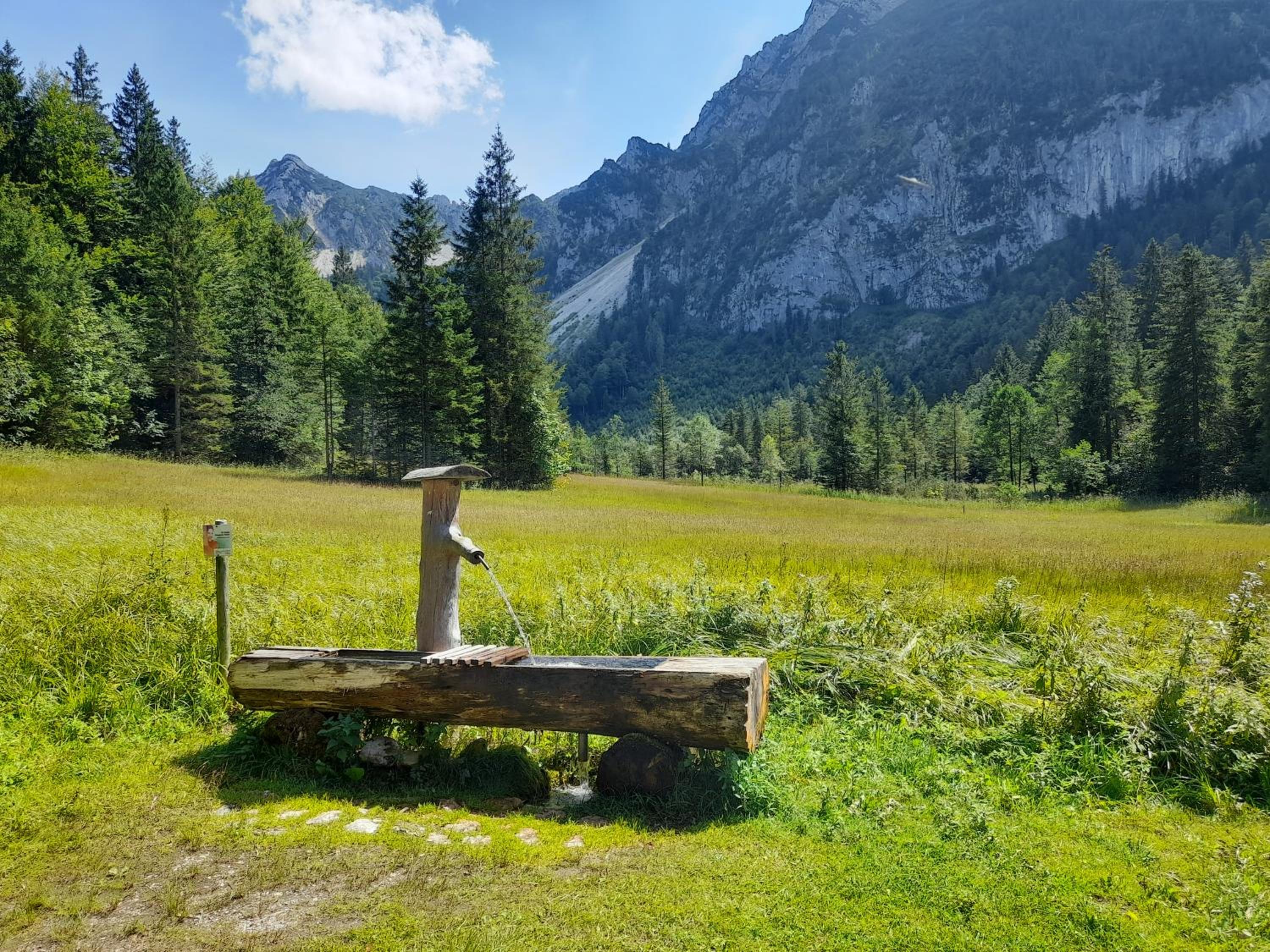 Im Naturgarten