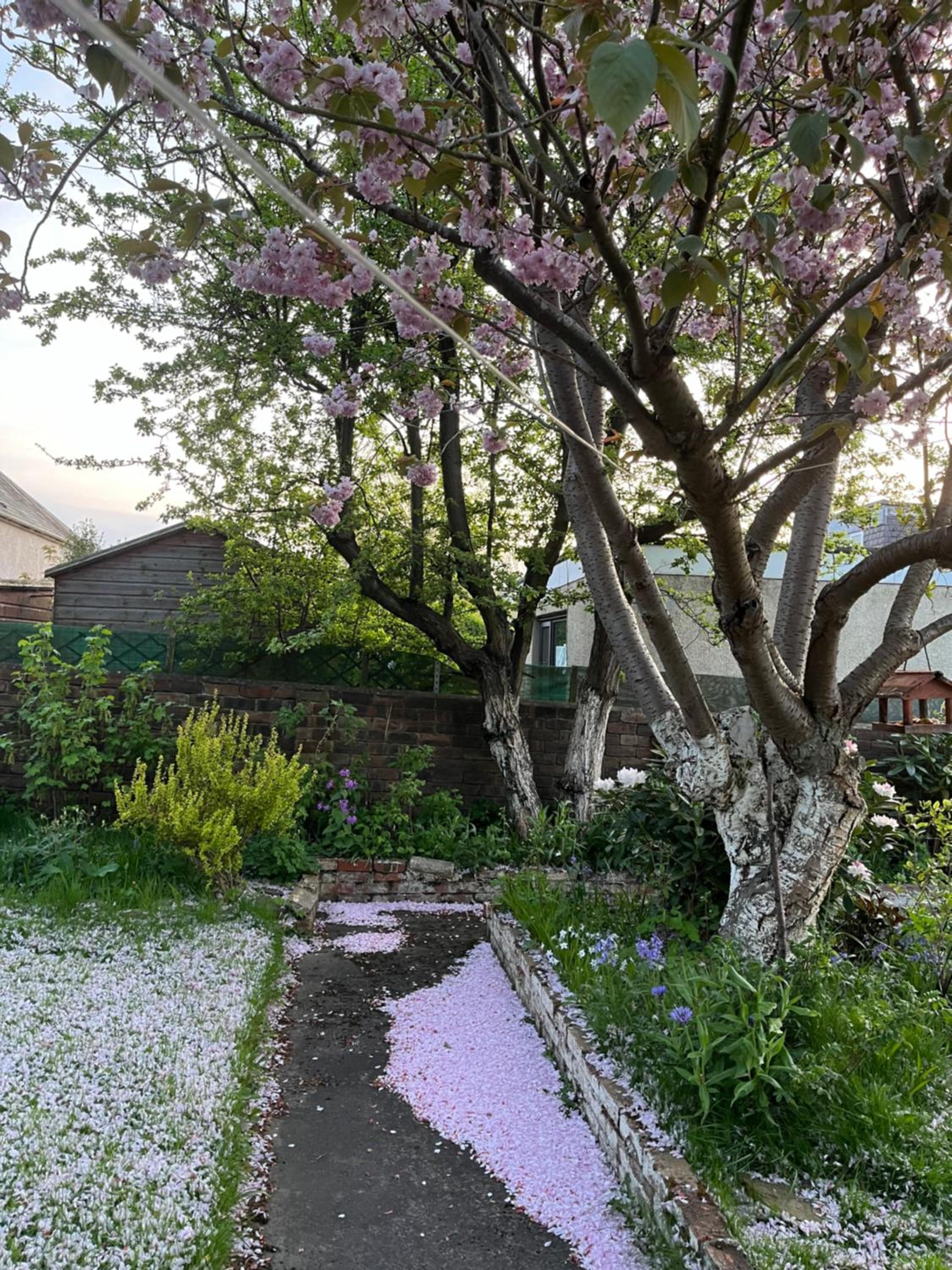 Photo 25
