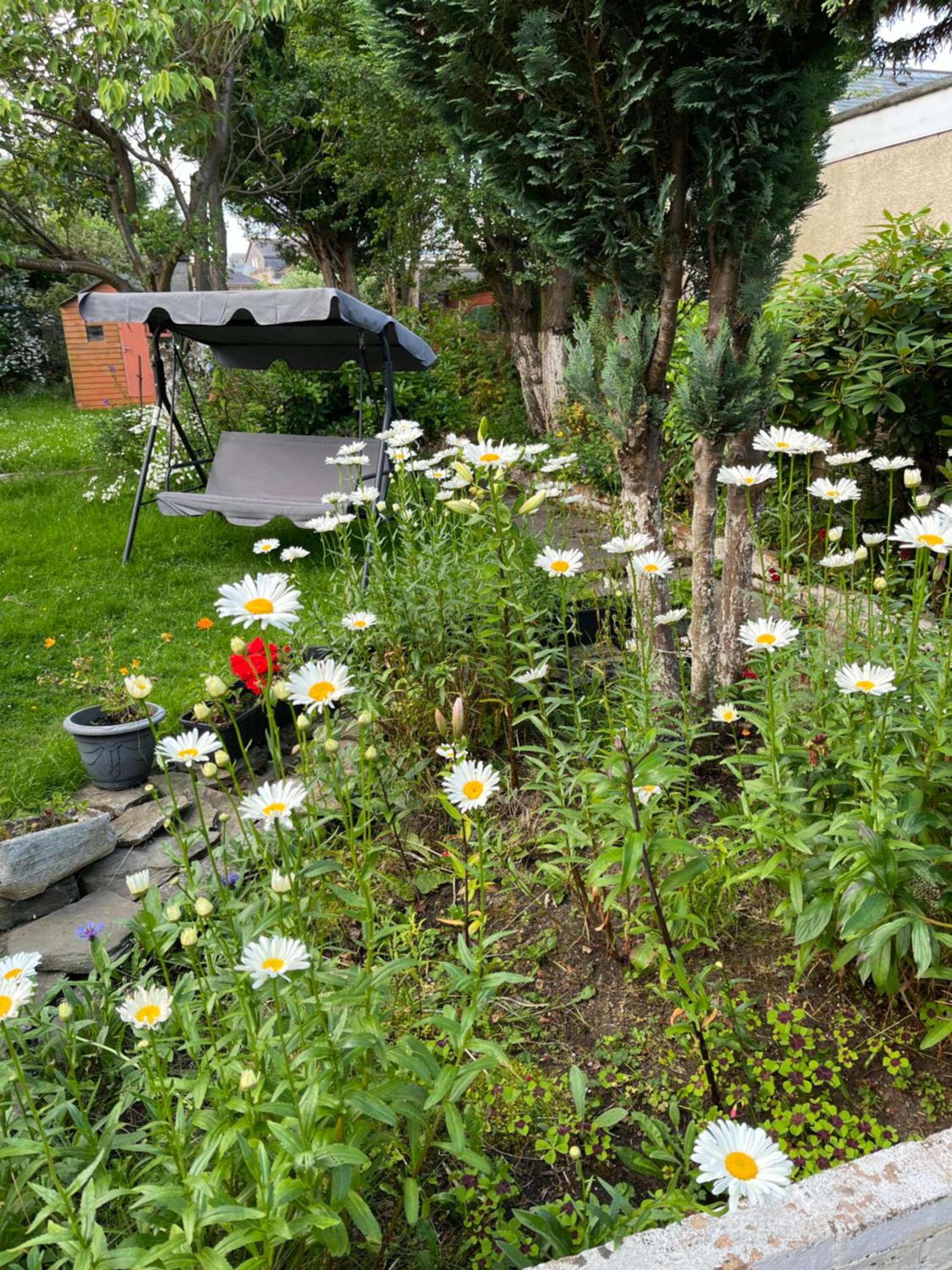 Photo 23