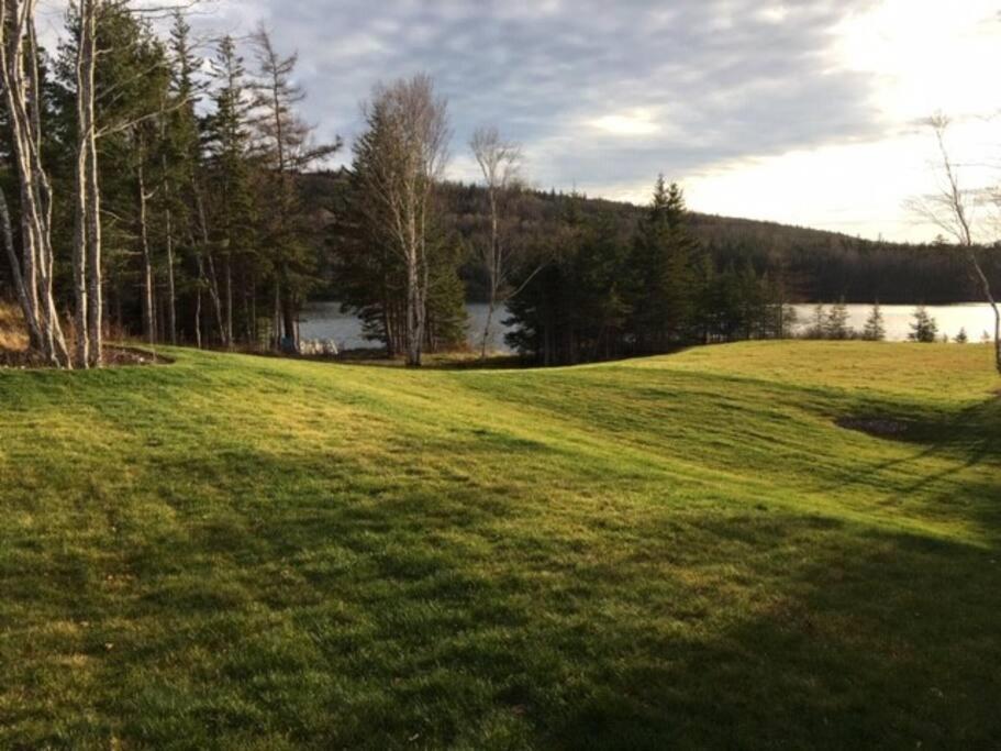 Lakeside 1
