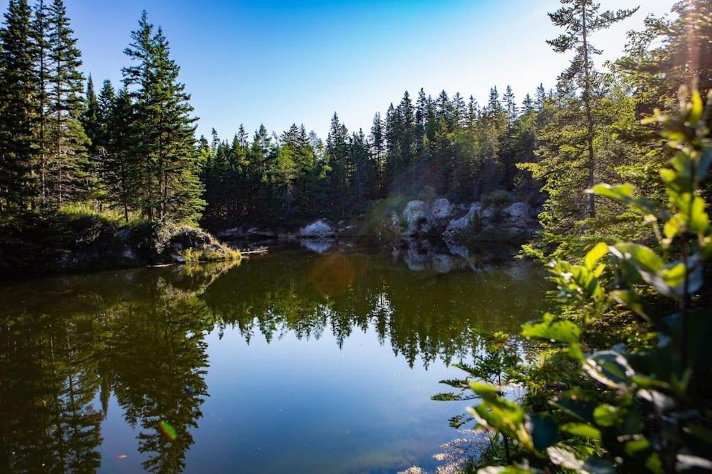 Lakeside 1
