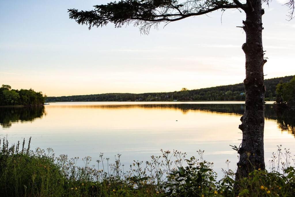 Lakeside 1