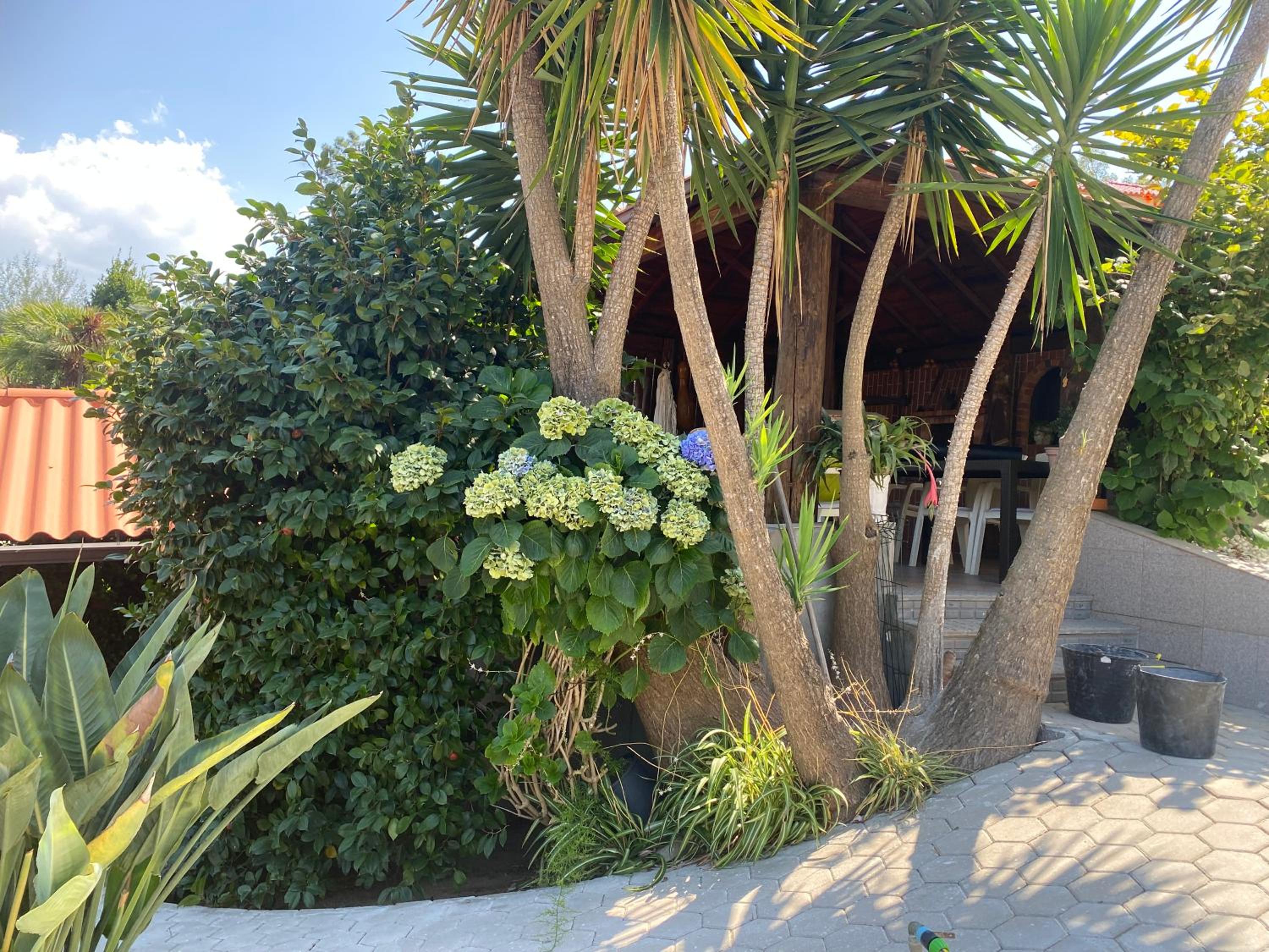 casa Pinto Douro - Property Image 3