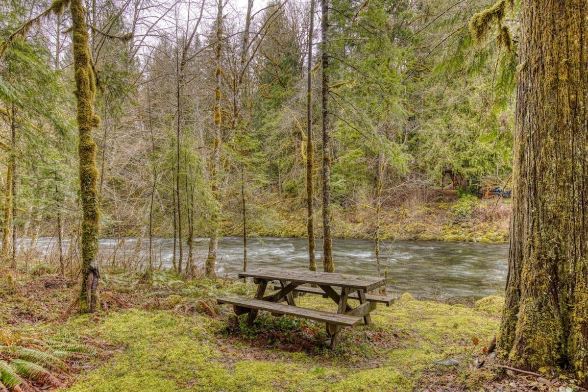 Thompson Cabin - Charming Salmon Riverfront A-Frame Oasis w/ fireplace view 2