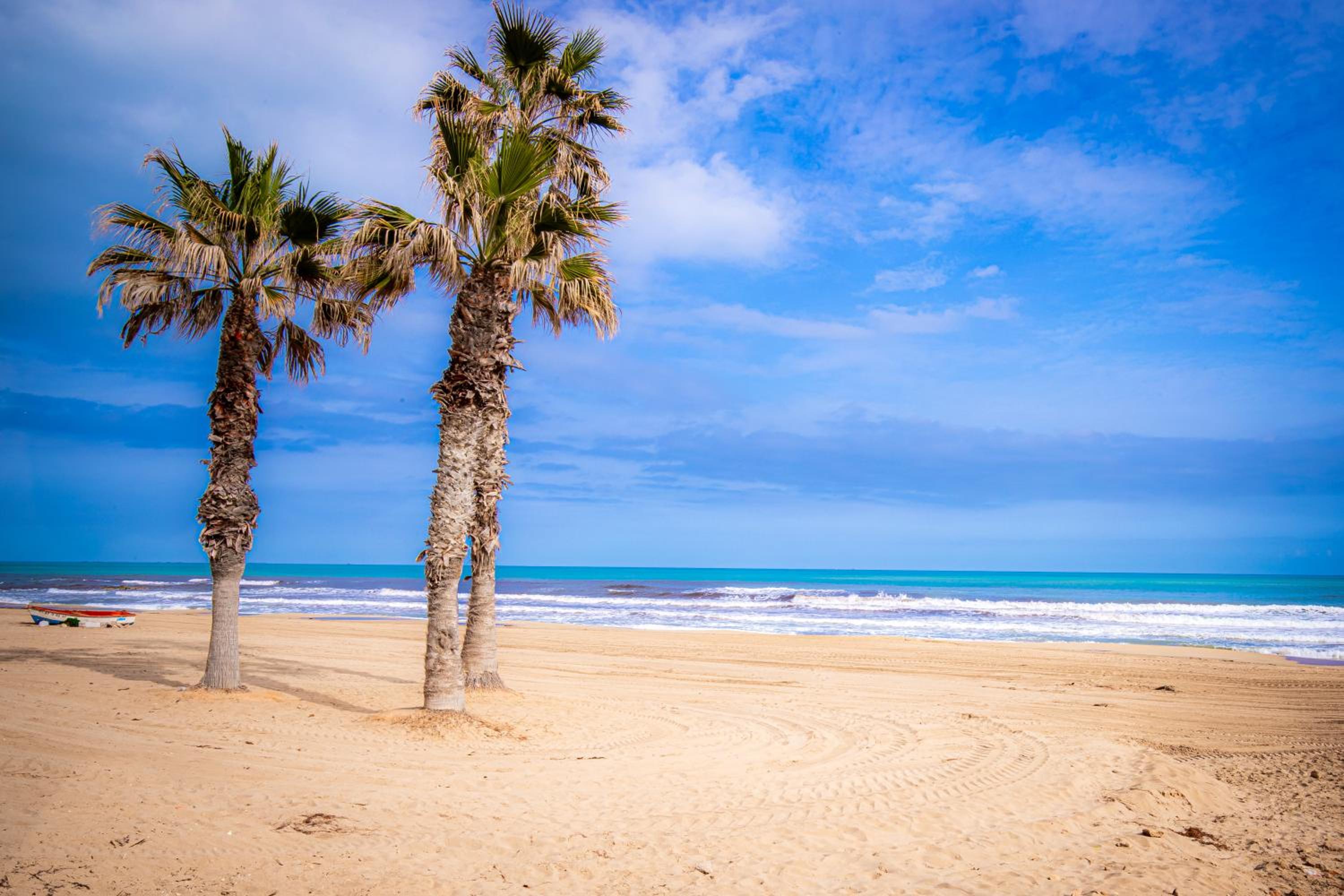 Sea View La Mata Apartment